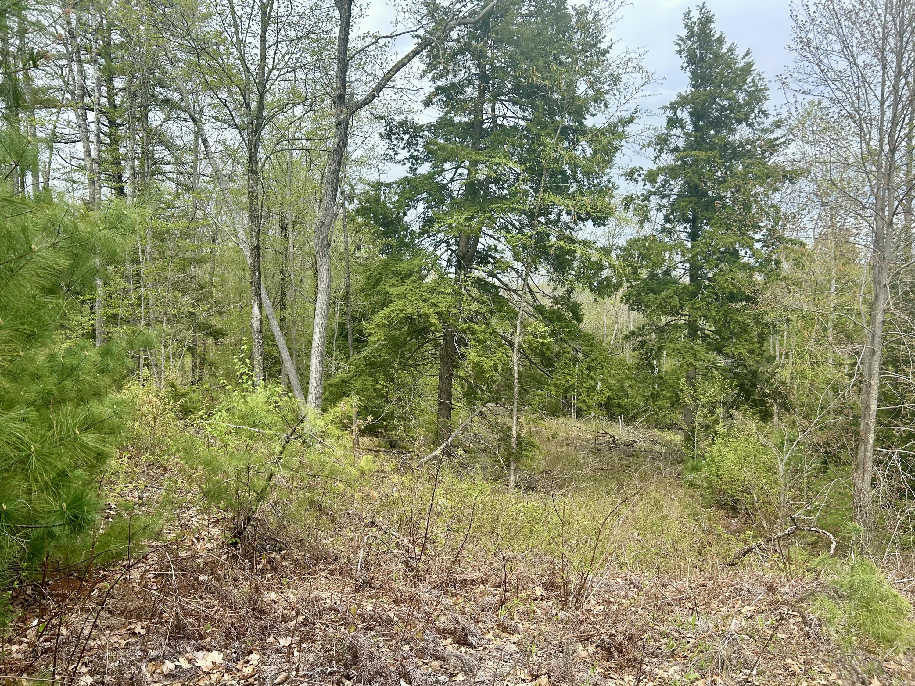 M3 L9 Winthrop Center Road, Winthrop, ME, 04364