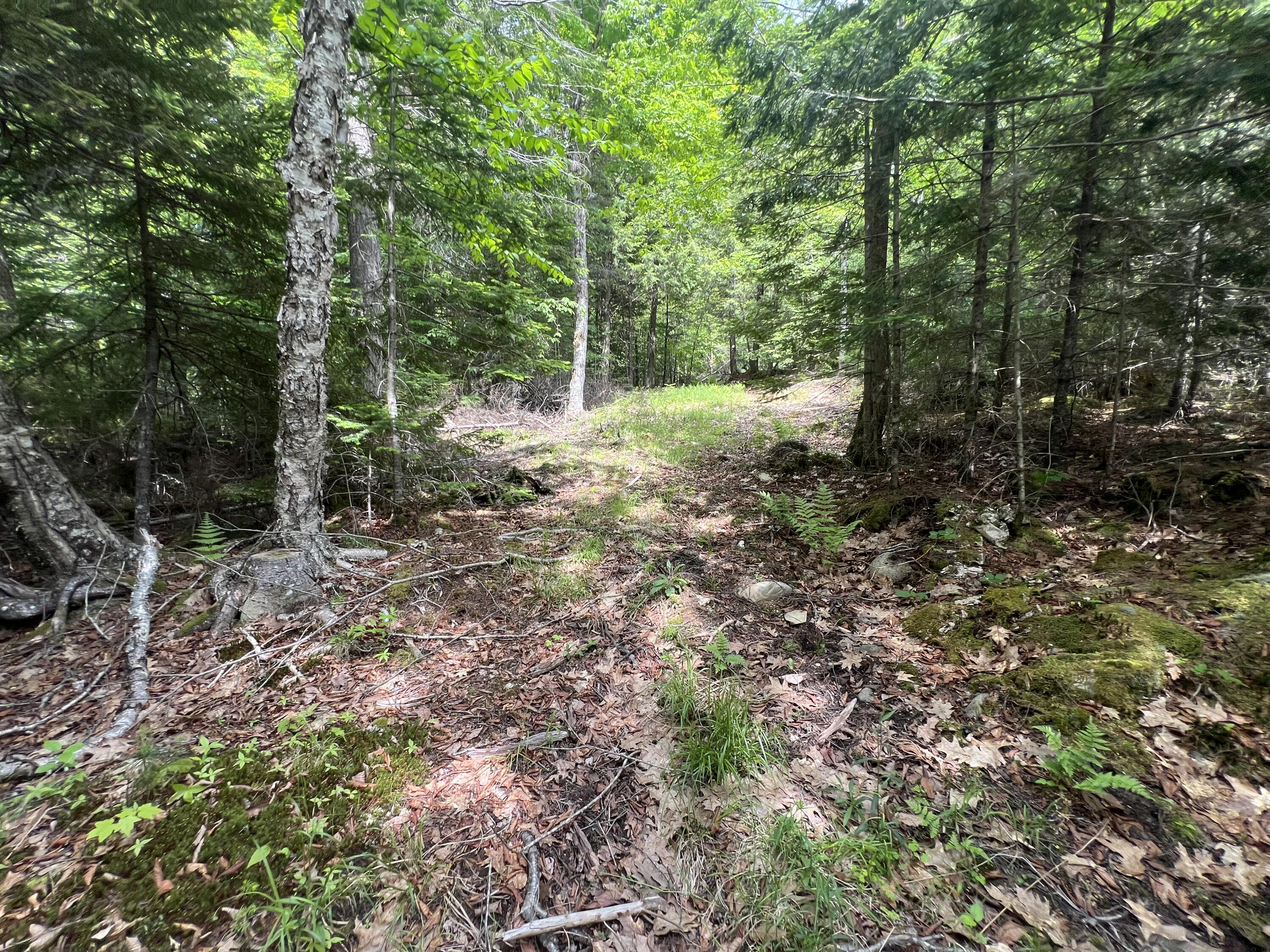 TBD Marks Mountain Way, Dedham, ME, 04429