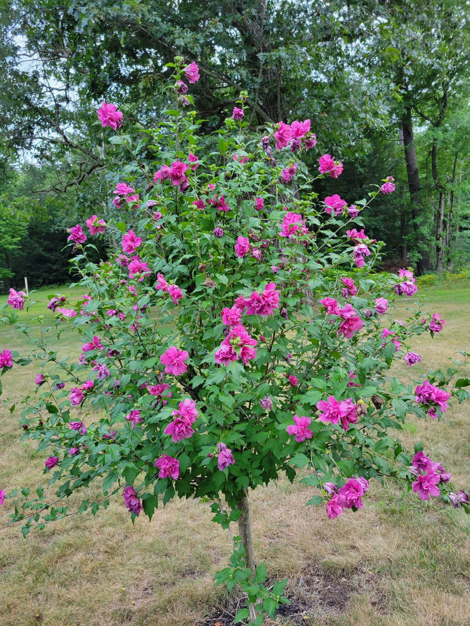 46 N Gorham Road, Gorham, ME, 04038