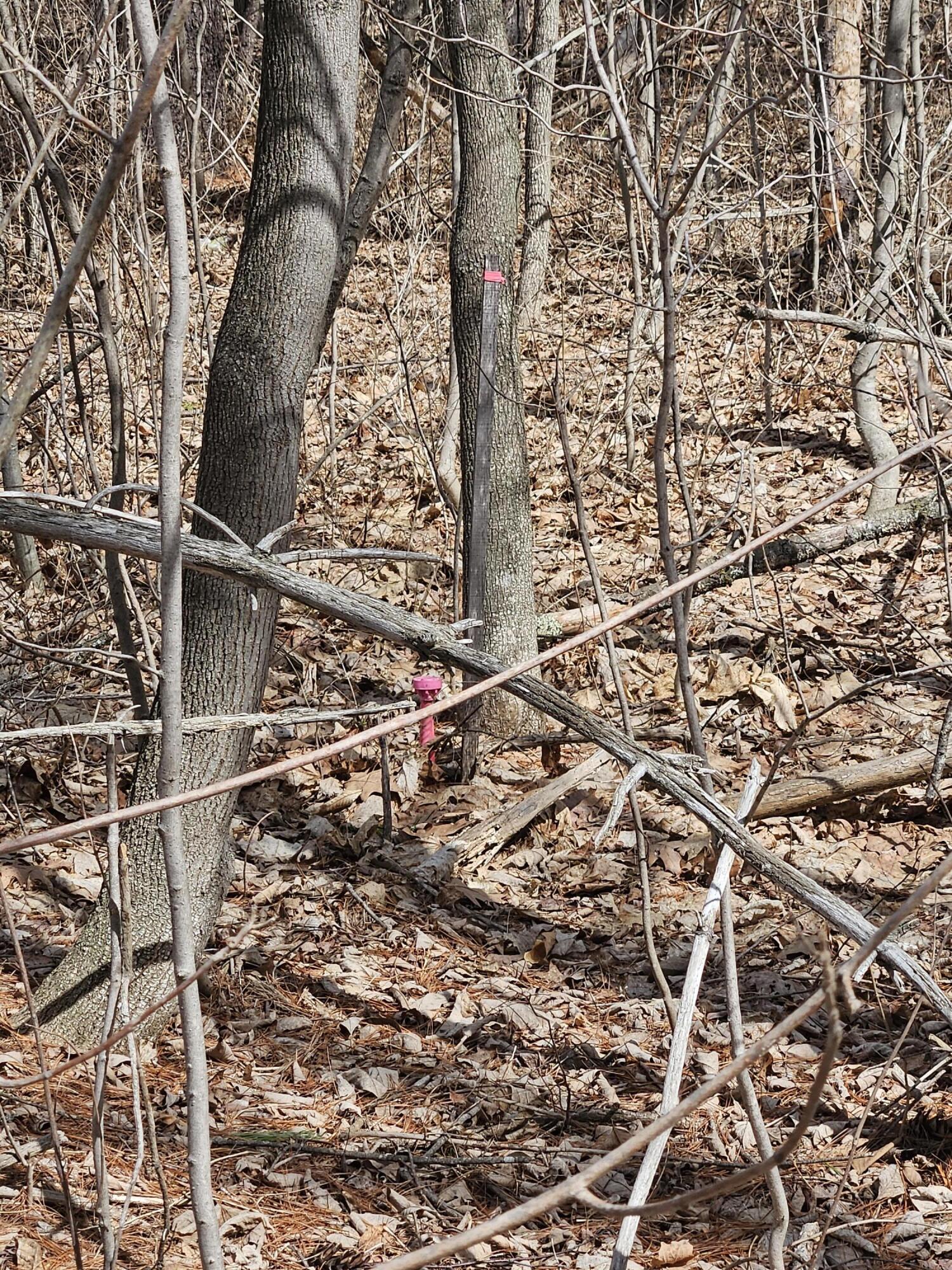 Lot 113-2 Cushman Road, Winslow, ME, 04901