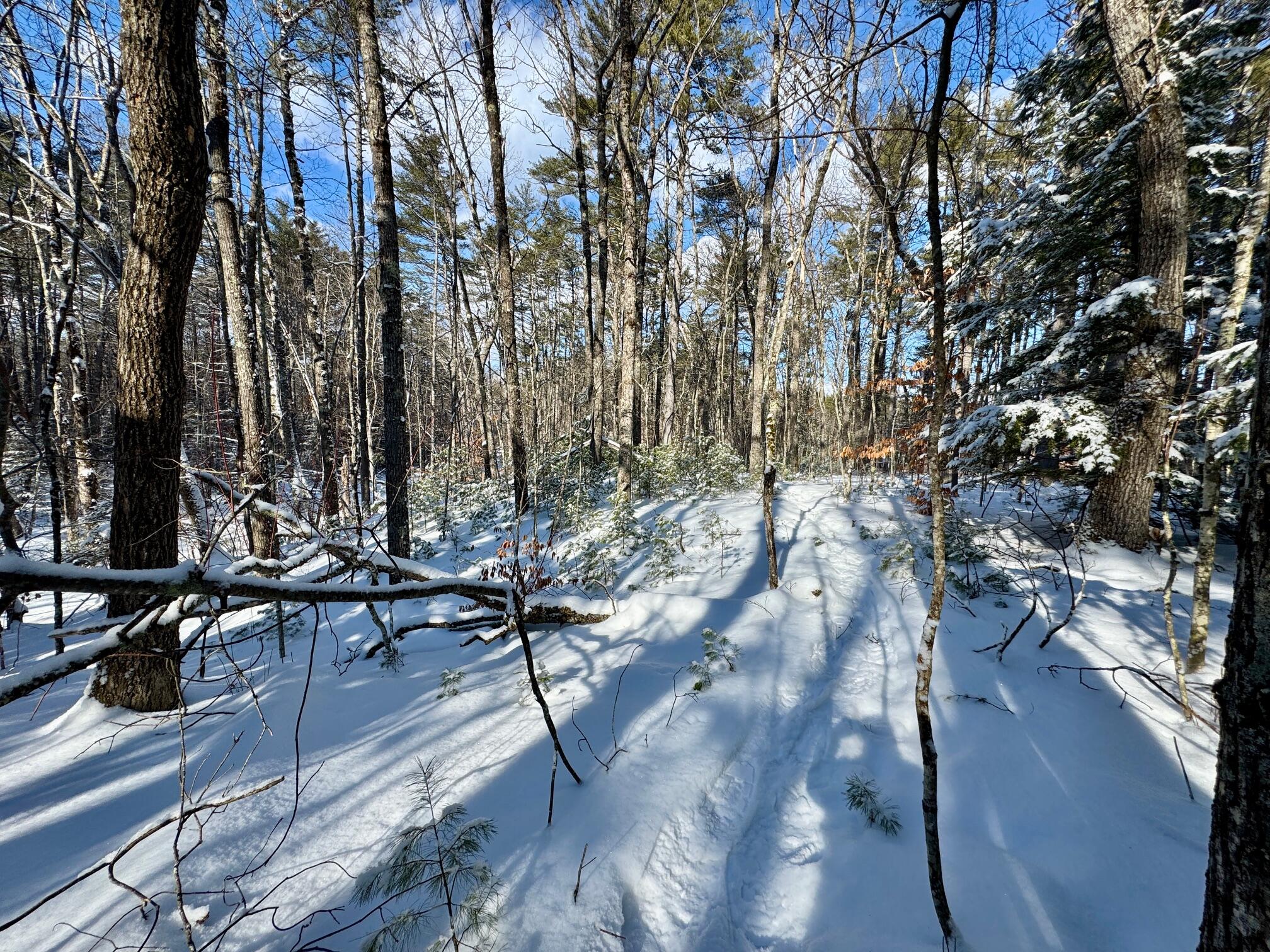 TBD Swans Falls Road UNIT Lot A, Fryeburg, ME, 04037