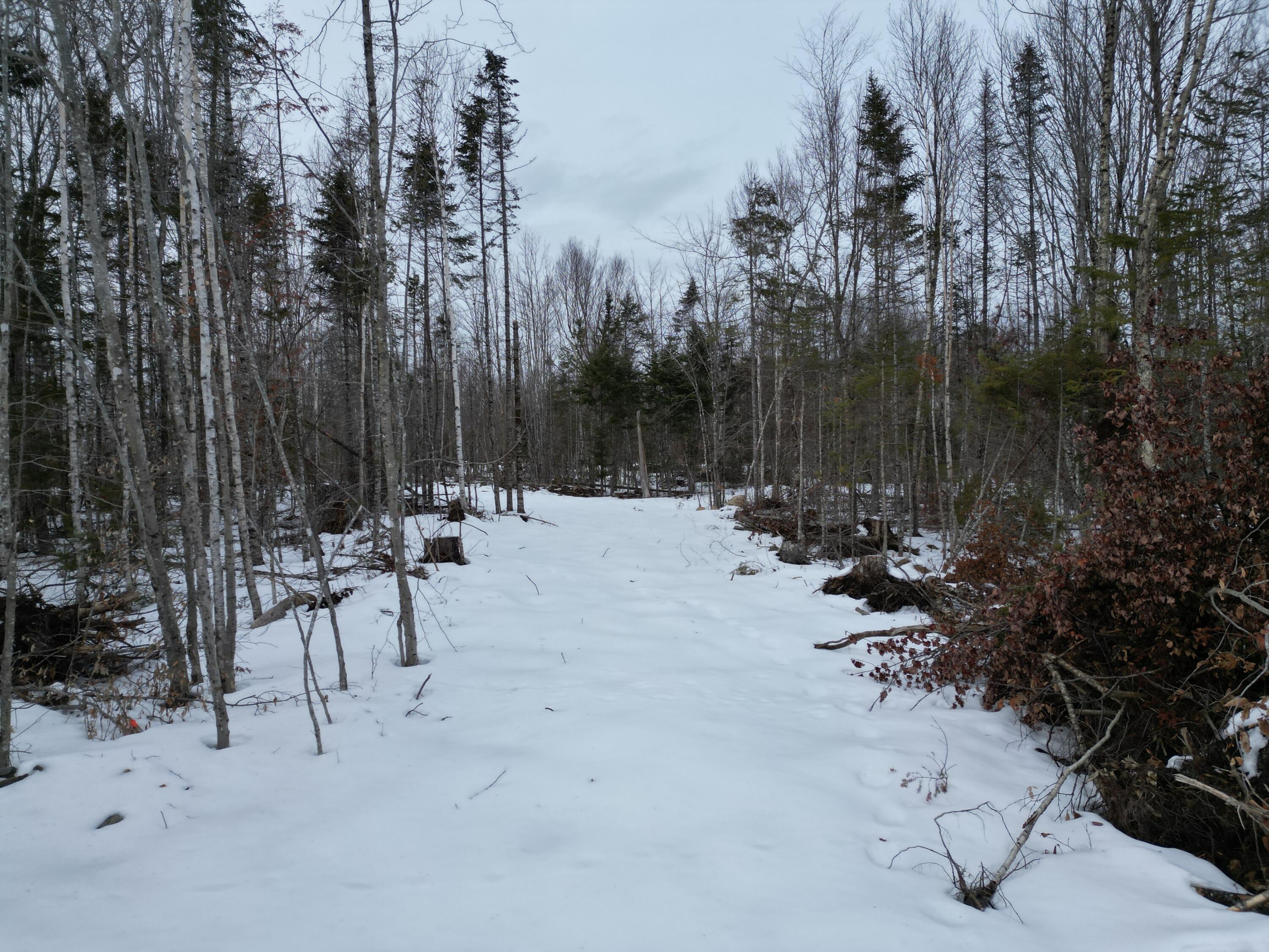 Lot 1 Moores Road, Springfield, ME, 04487