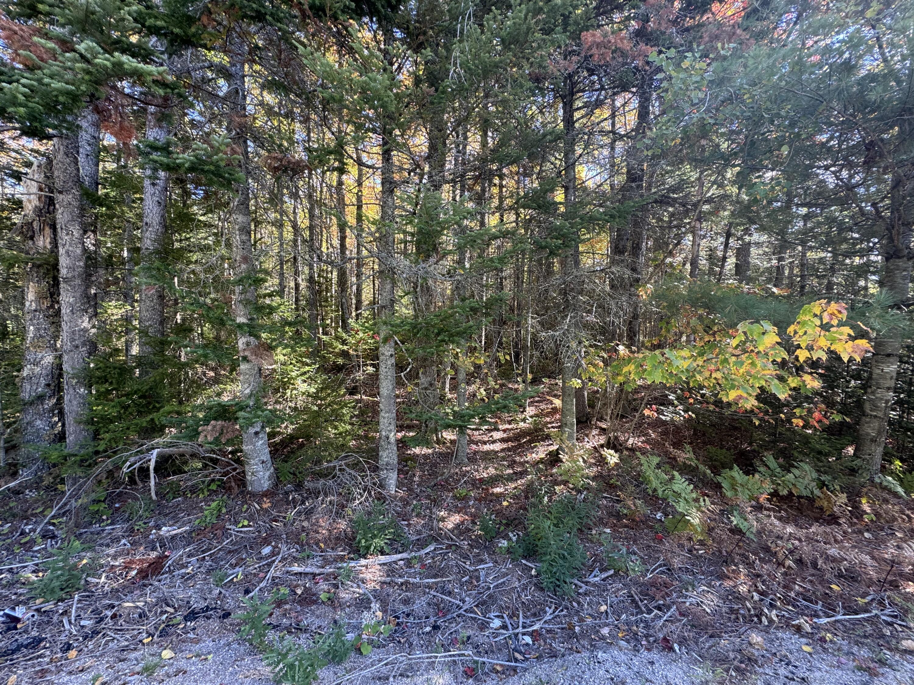 023-003-4 Walters Road, Gouldsboro, ME, 04607