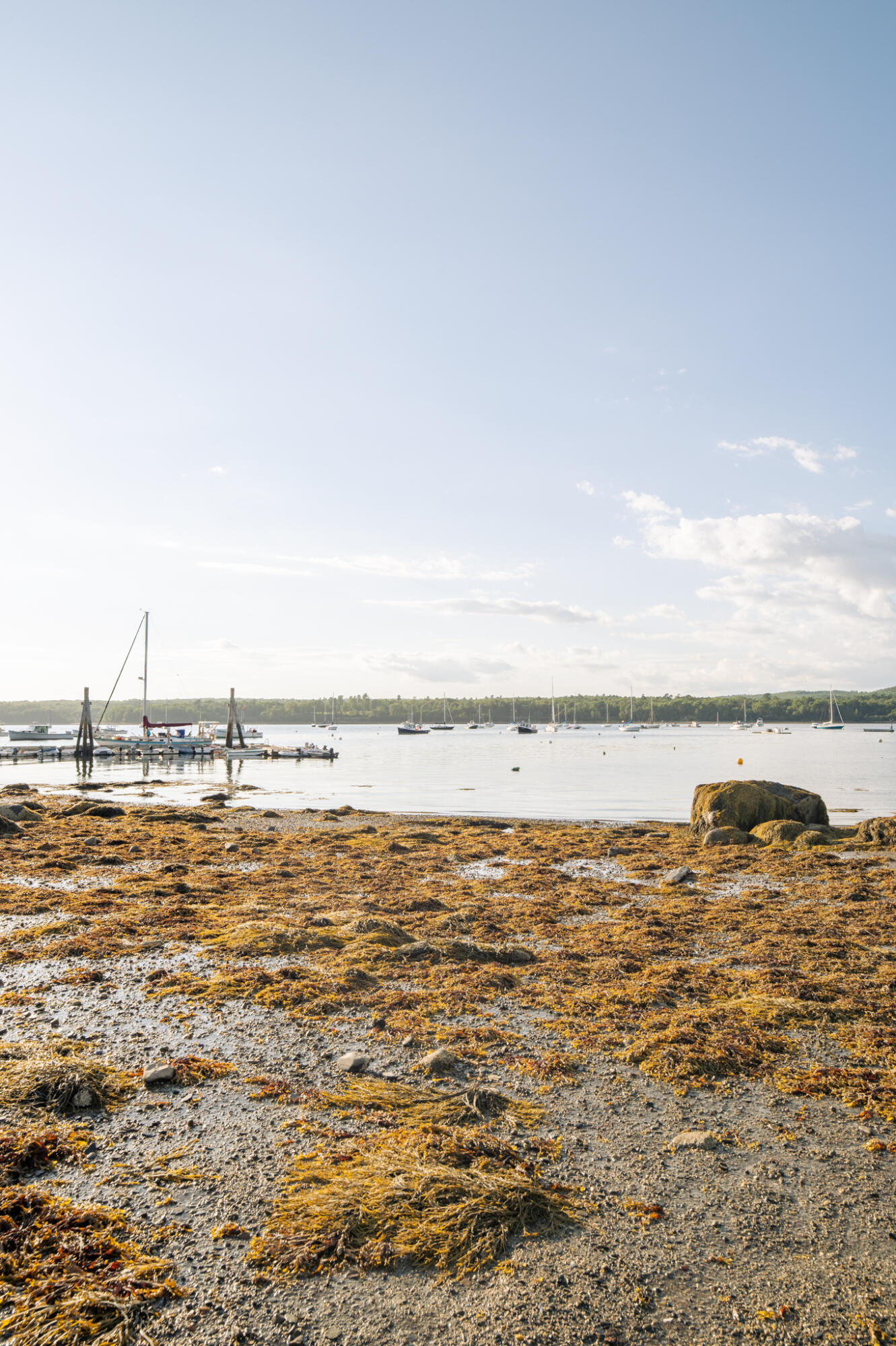 58 Harbor View Drive UNIT 58, Stockton Springs, ME, 04981