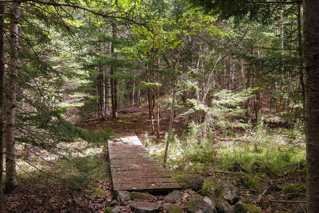 565 Bagaduce Road, Brooksville, ME, 04617