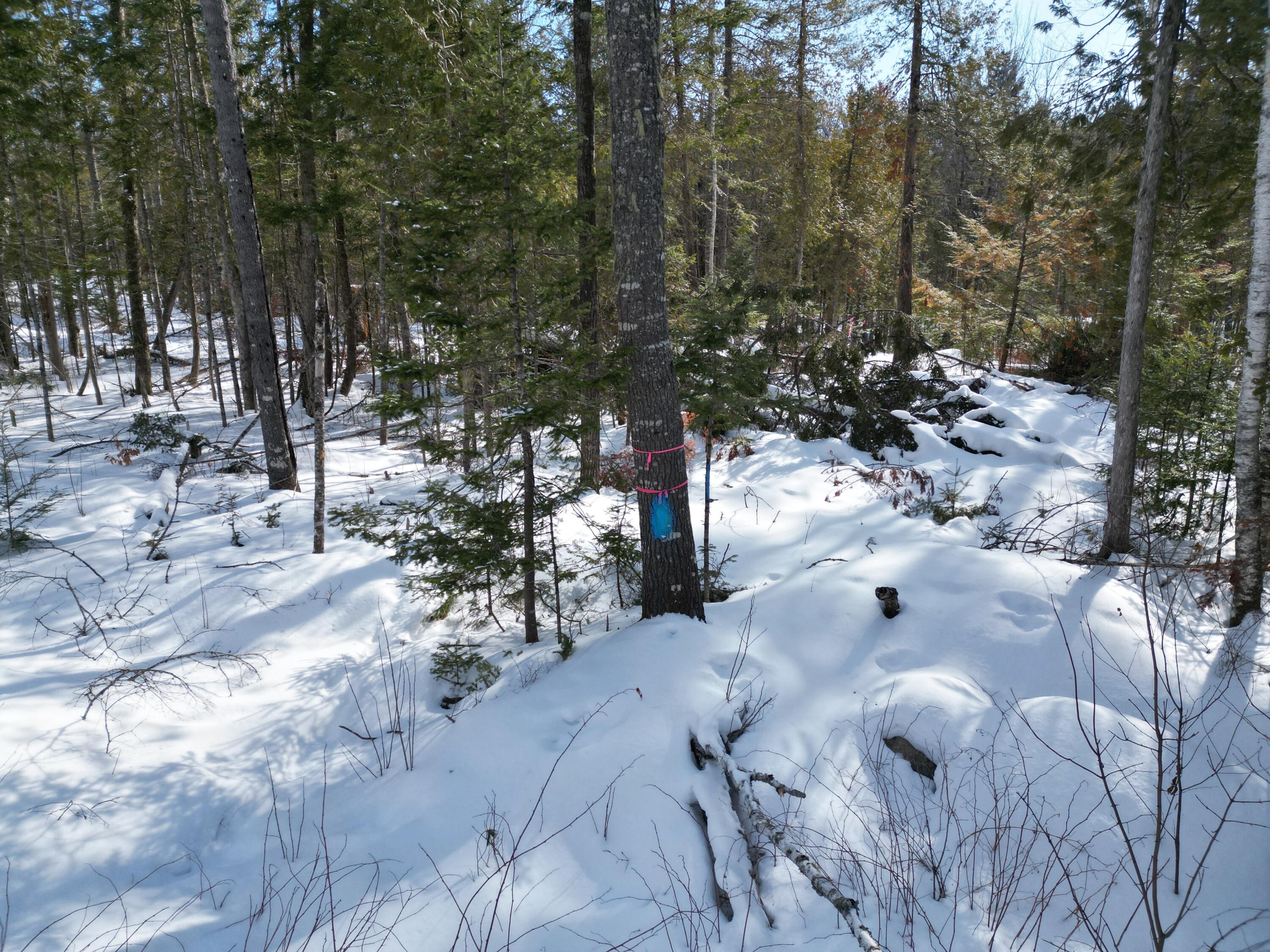 8 Twin Springs Lane, Lincoln, ME, 04457
