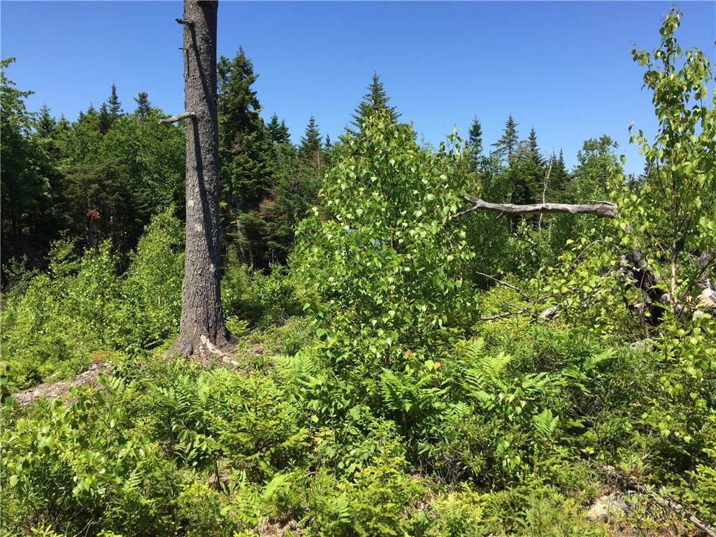 65 Lookout Mountain Road, East Machias, ME, 04630