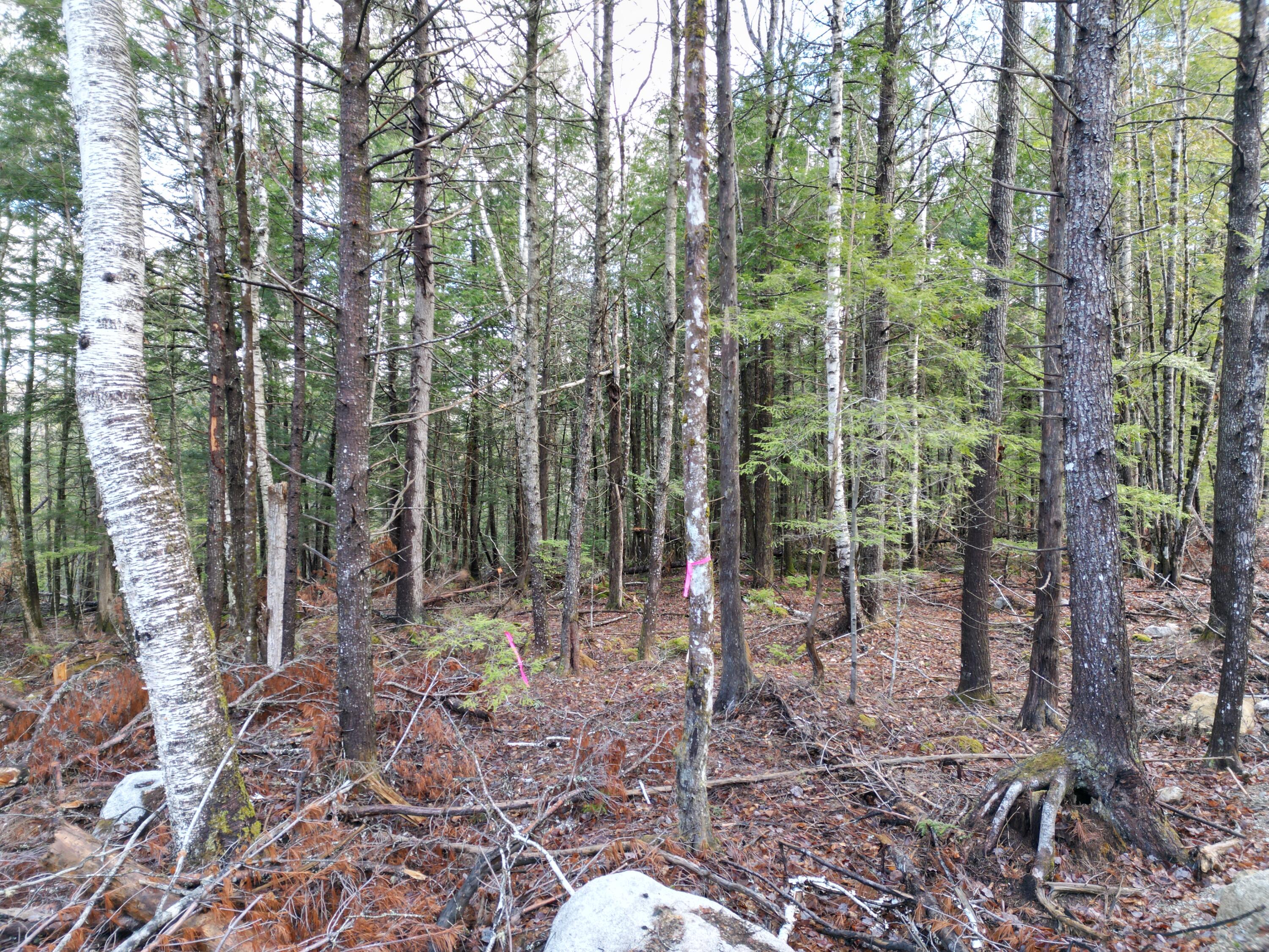 10 Falcon Ridge, Lincoln, ME, 04457