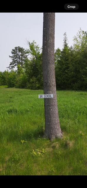 Lot 11 Mt. Jefferson Heights, Lee, ME, 04455