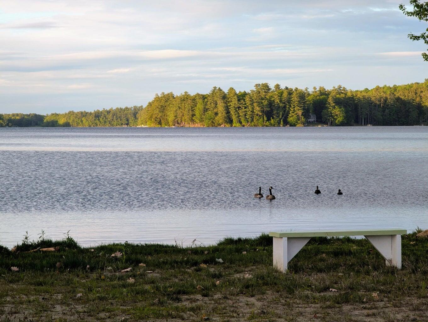 19 & 28 Lintonia Drive UNIT 10-13, Litchfield, ME, 04350