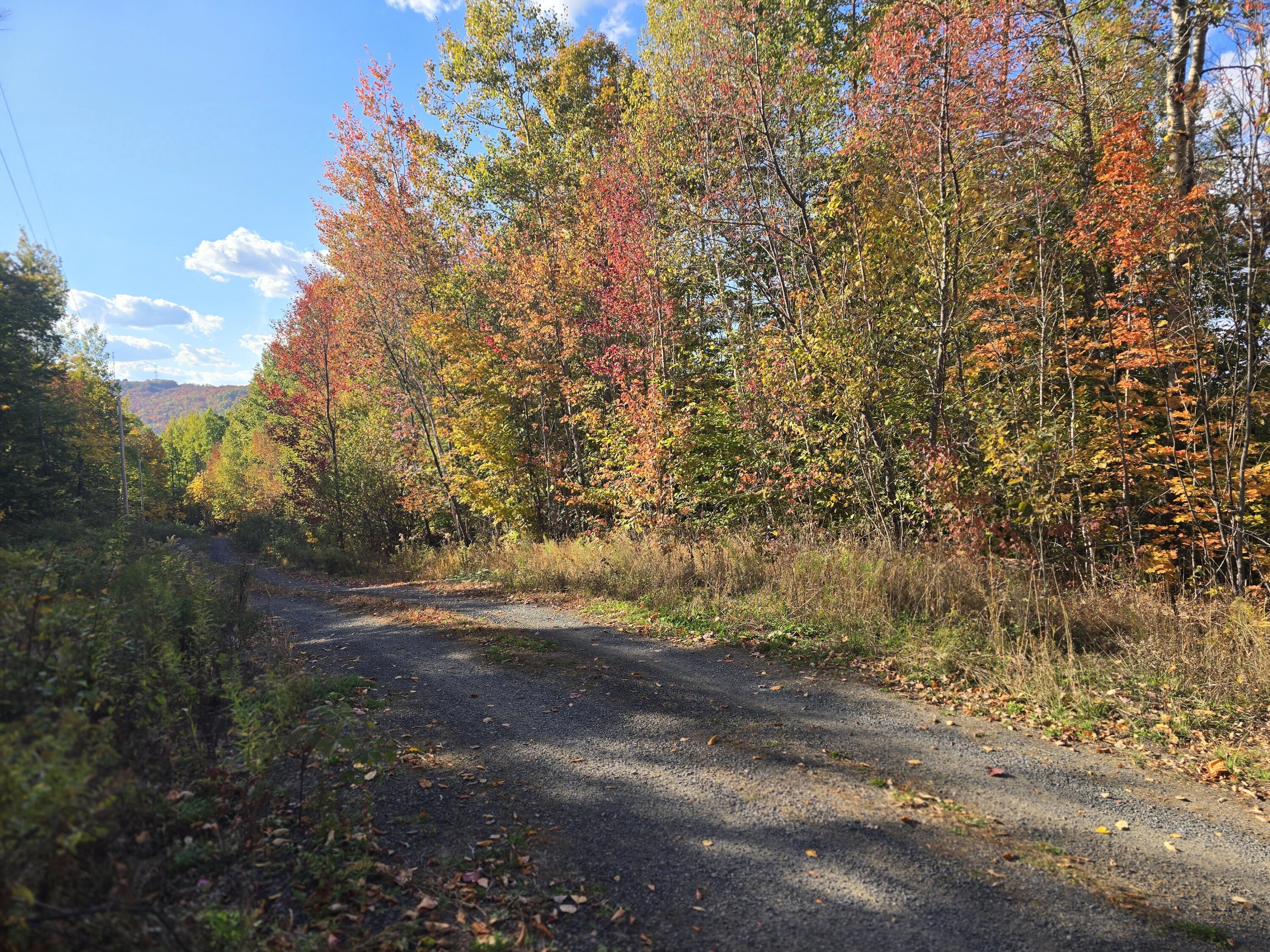 Lot 21 Red Granite Road, Island Falls, ME, 04747