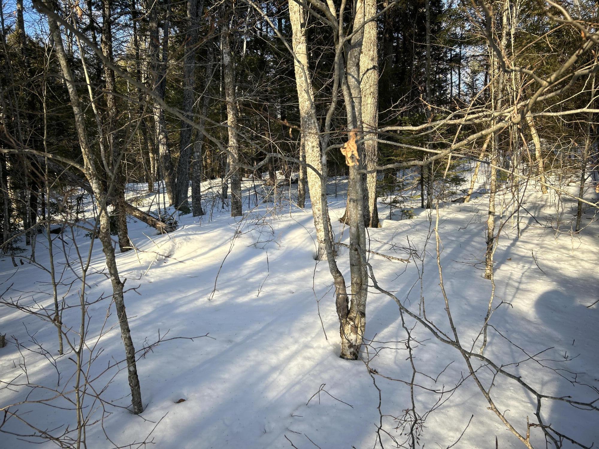 M7L22 Nelson Ridge Road N, Washington, ME, 04574