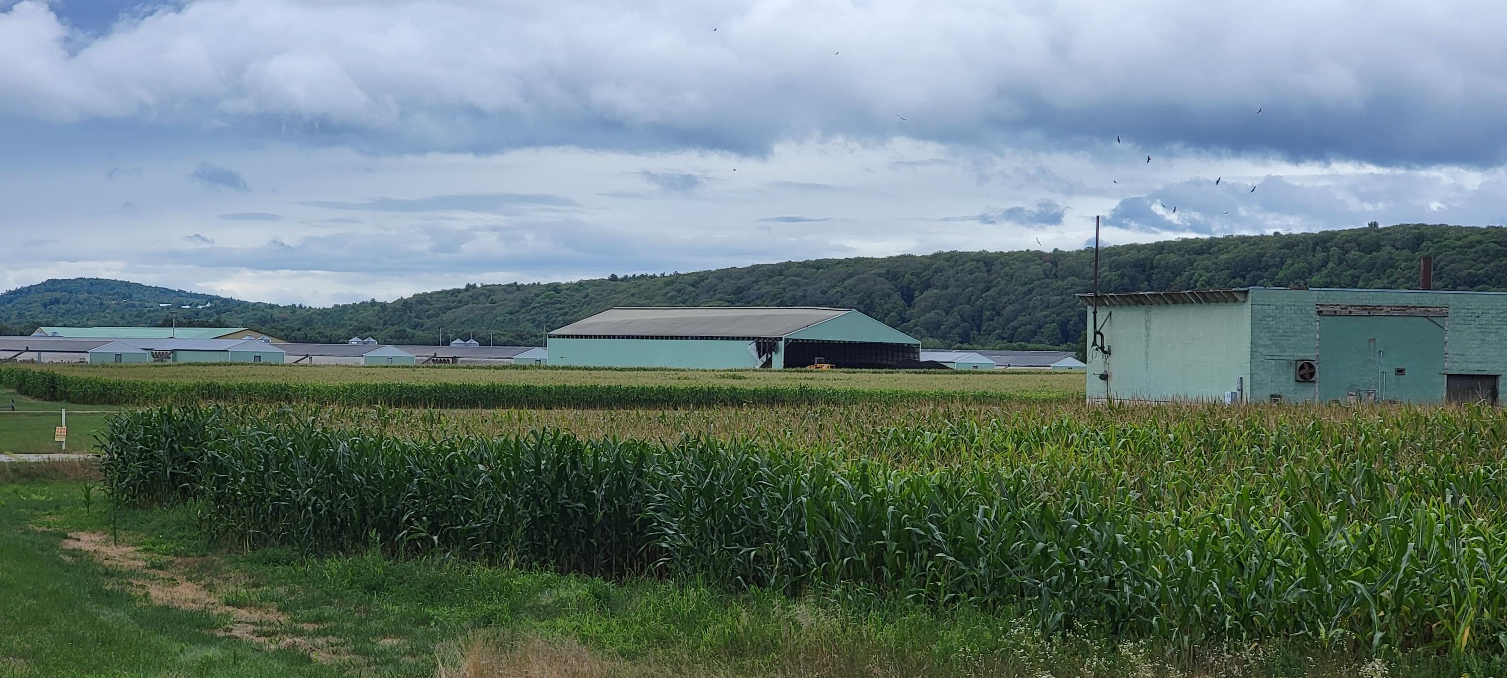 2 Plains Road, Turner, ME, 04282