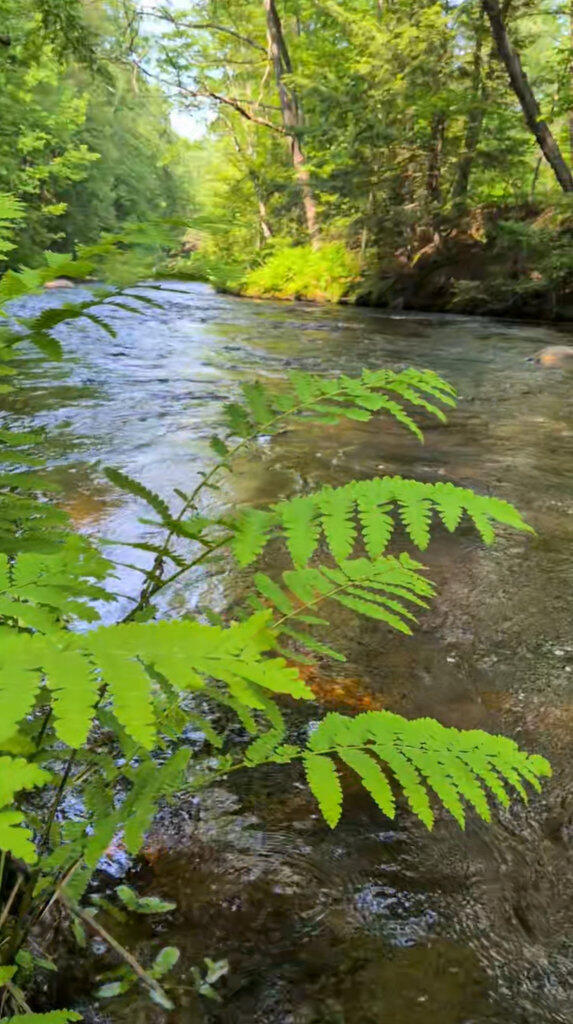 72 Main Street, Peru, ME, 04290