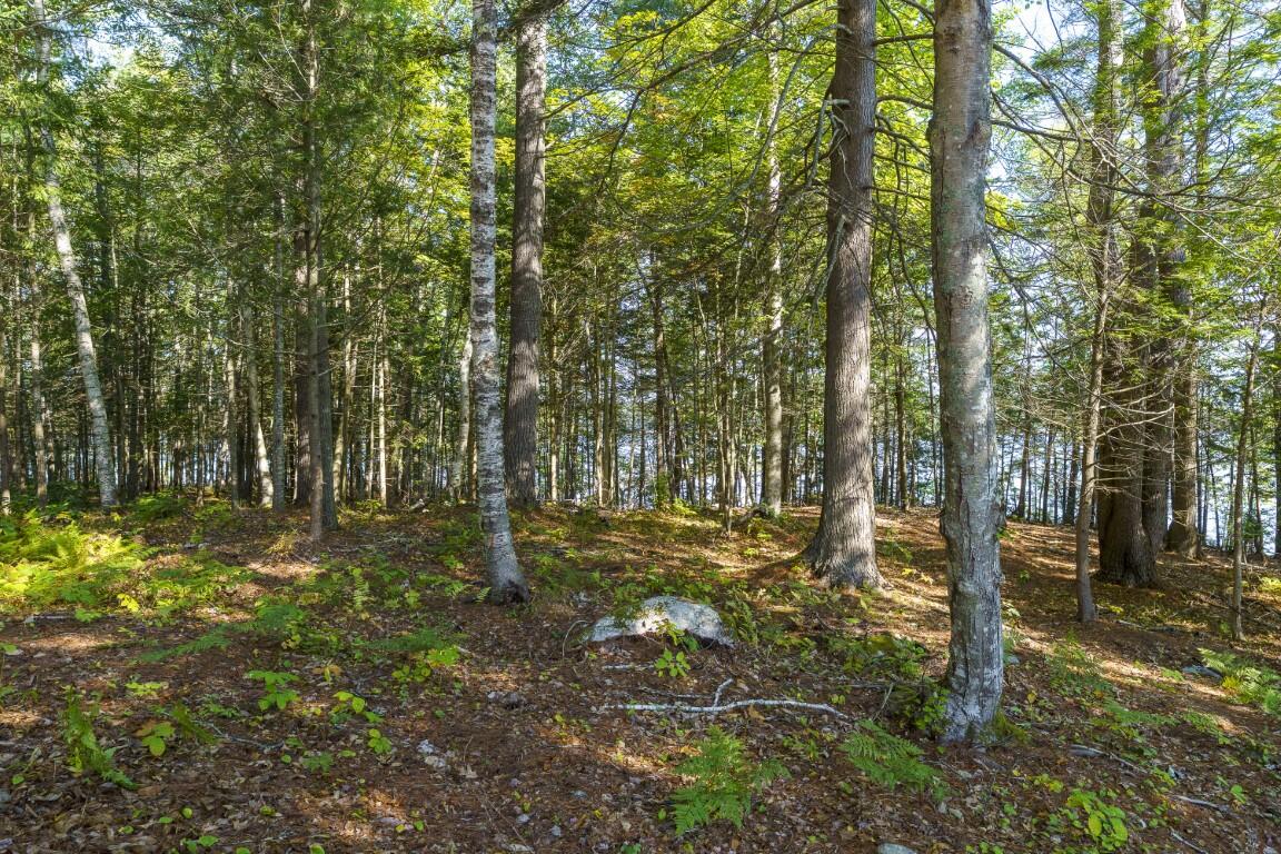 48 US Route 1, Edgecomb, ME, 04556