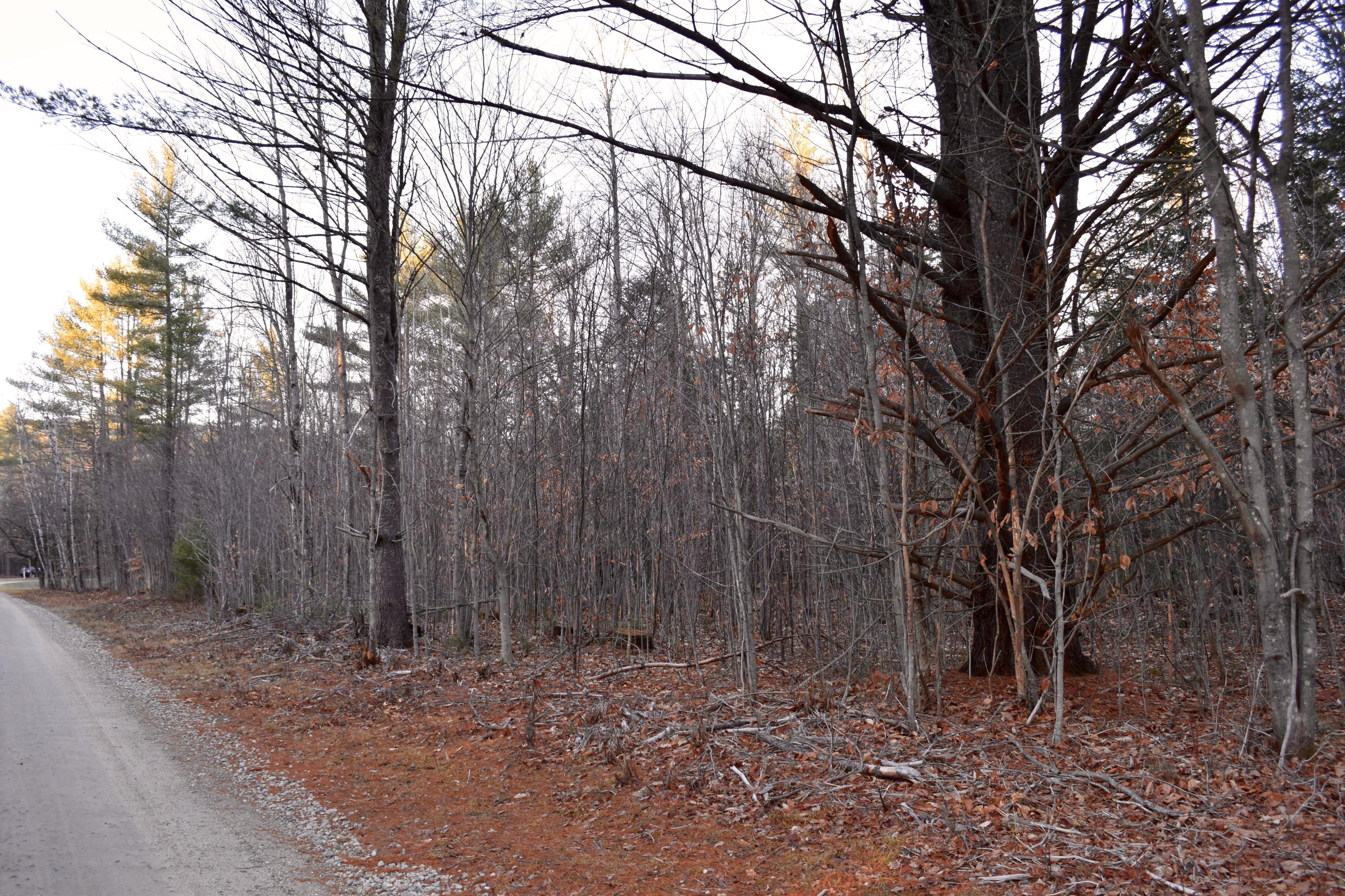 00 Daisy Bryant Rd., Bethel, ME, 04217