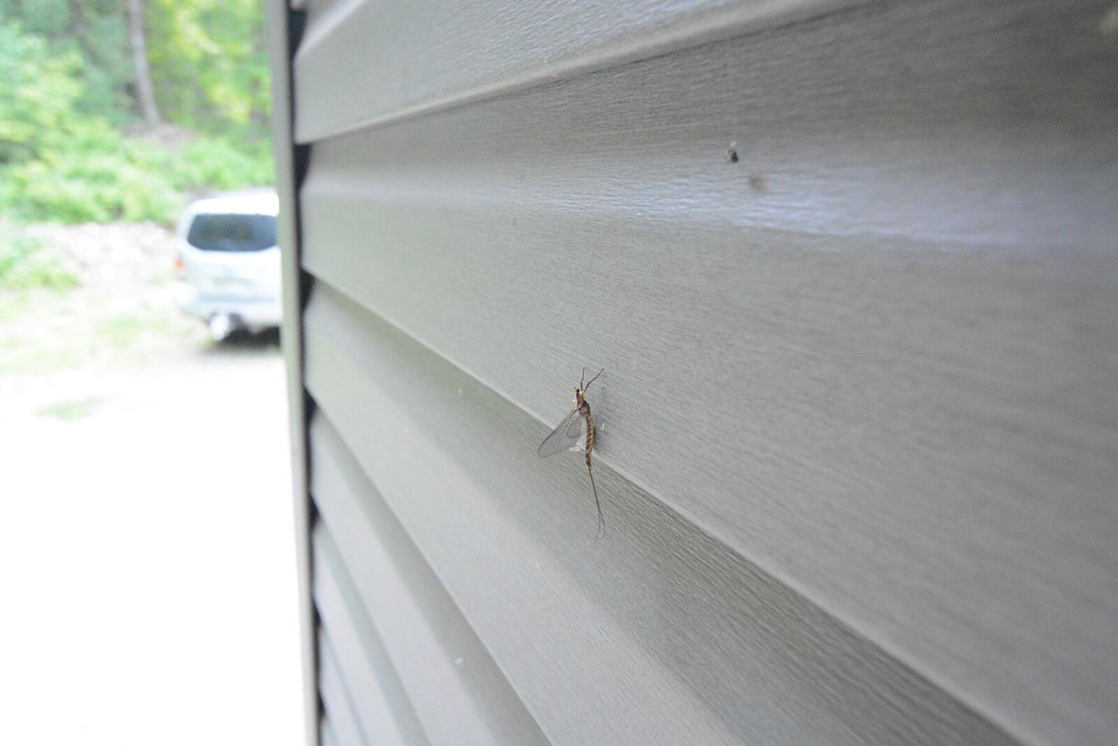 792 West Road, Portage Lake, ME, 04768