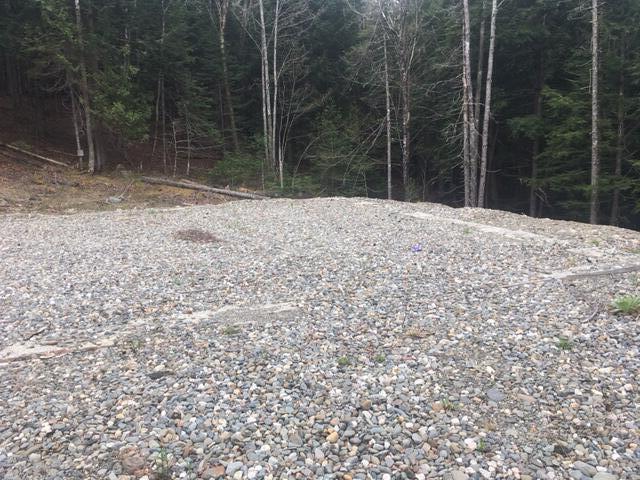 Search Homes for Sale