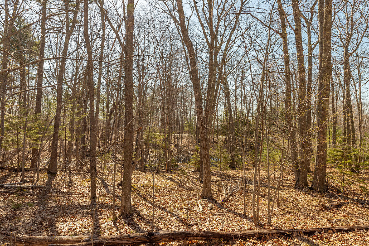 Lot 1 Bristol Drive, Rockport, ME, 04856