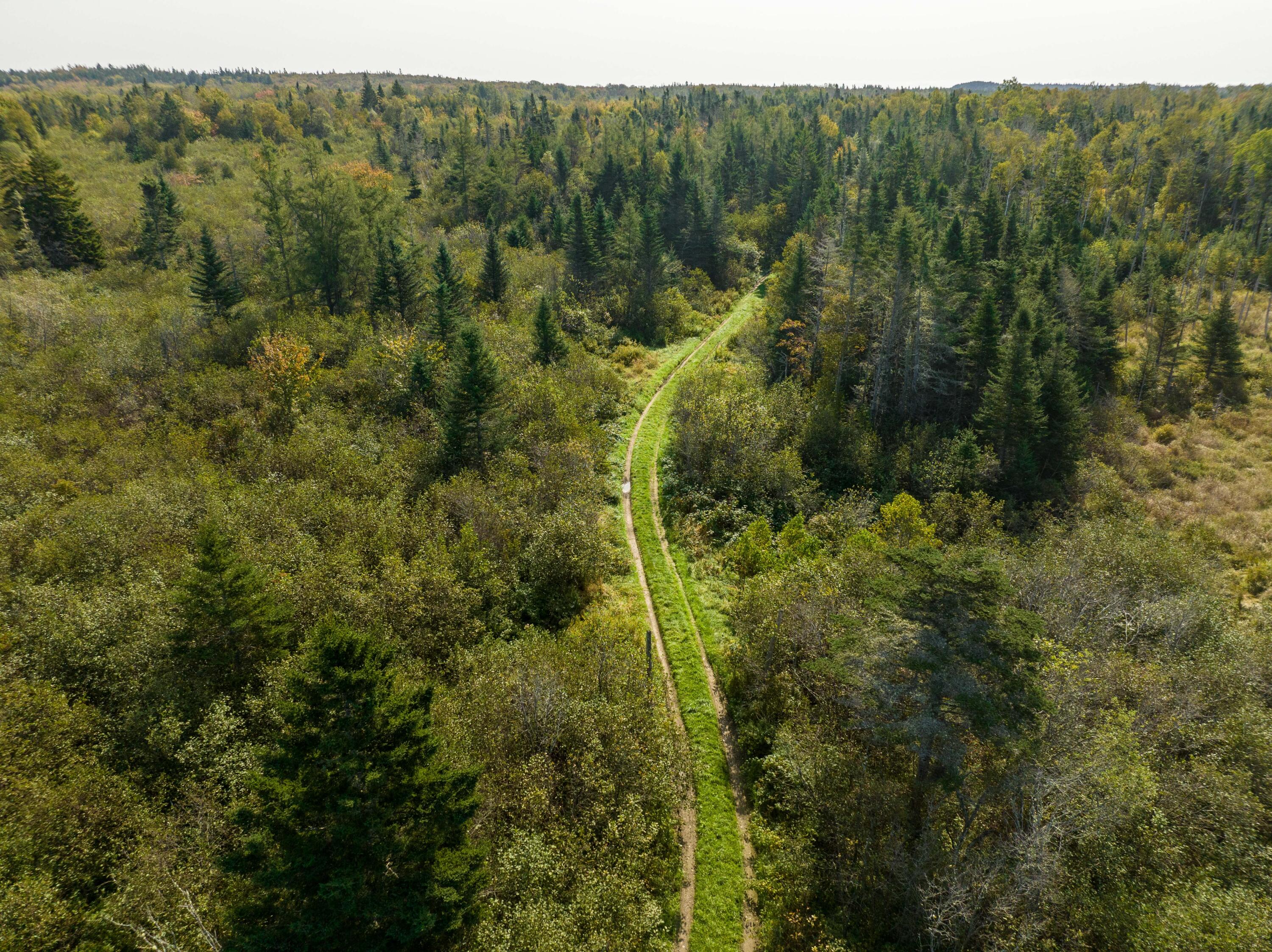 117 Denbow Road, Lubec, ME, 04652