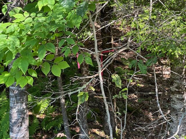 Lot UNIT&nbsp;4 Bonnie Way, Winterport, ME, 04496