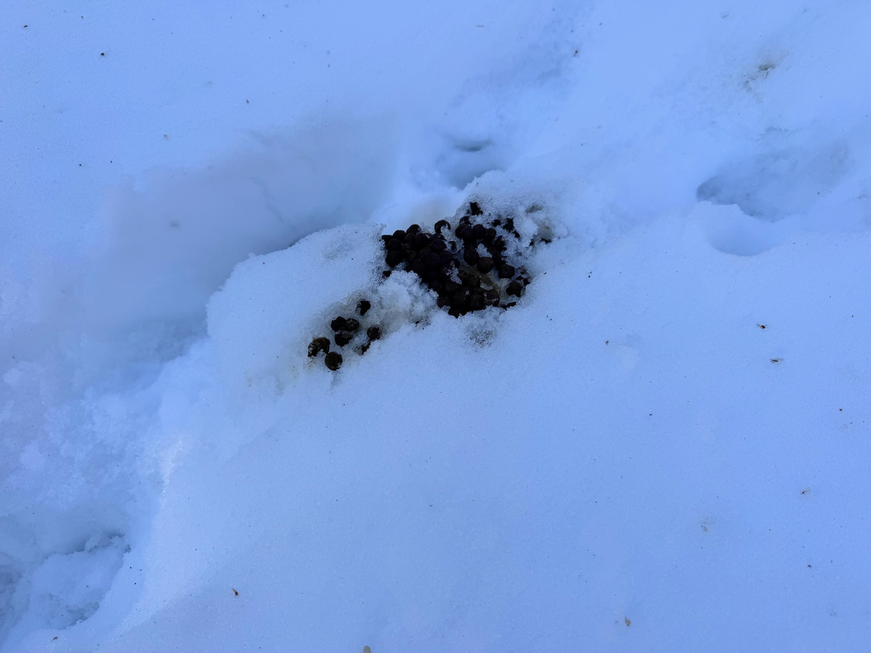 M10L44 Mountain View Road, Fryeburg, ME, 04037