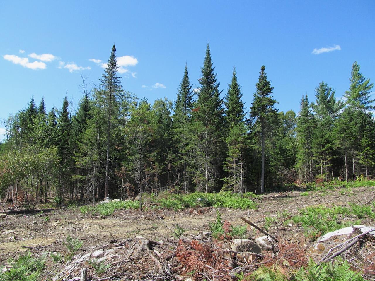 929 Center Hill Road Road, Weld, ME, 04285