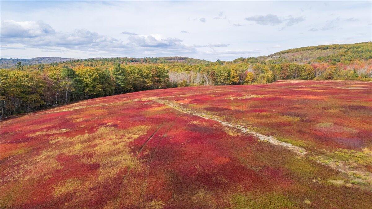 423 Beech Hill Road, Northport, ME, 04849