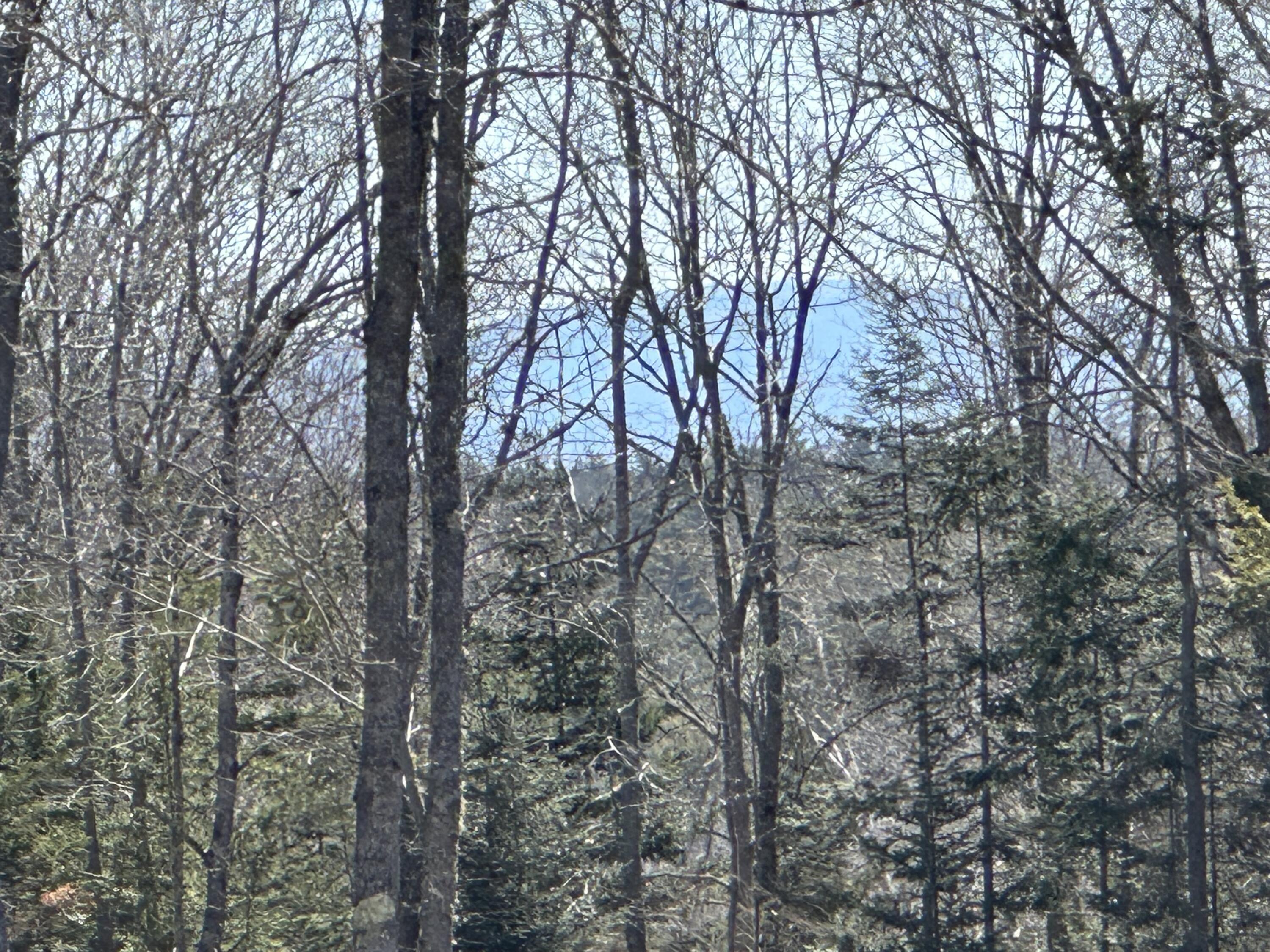 Lot UNIT&nbsp;0 Morgan Bay Road, Surry, ME, 04684