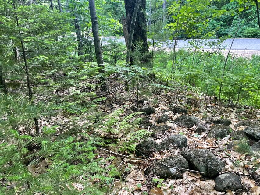 80 Gammon Road, Peru, ME, 04290