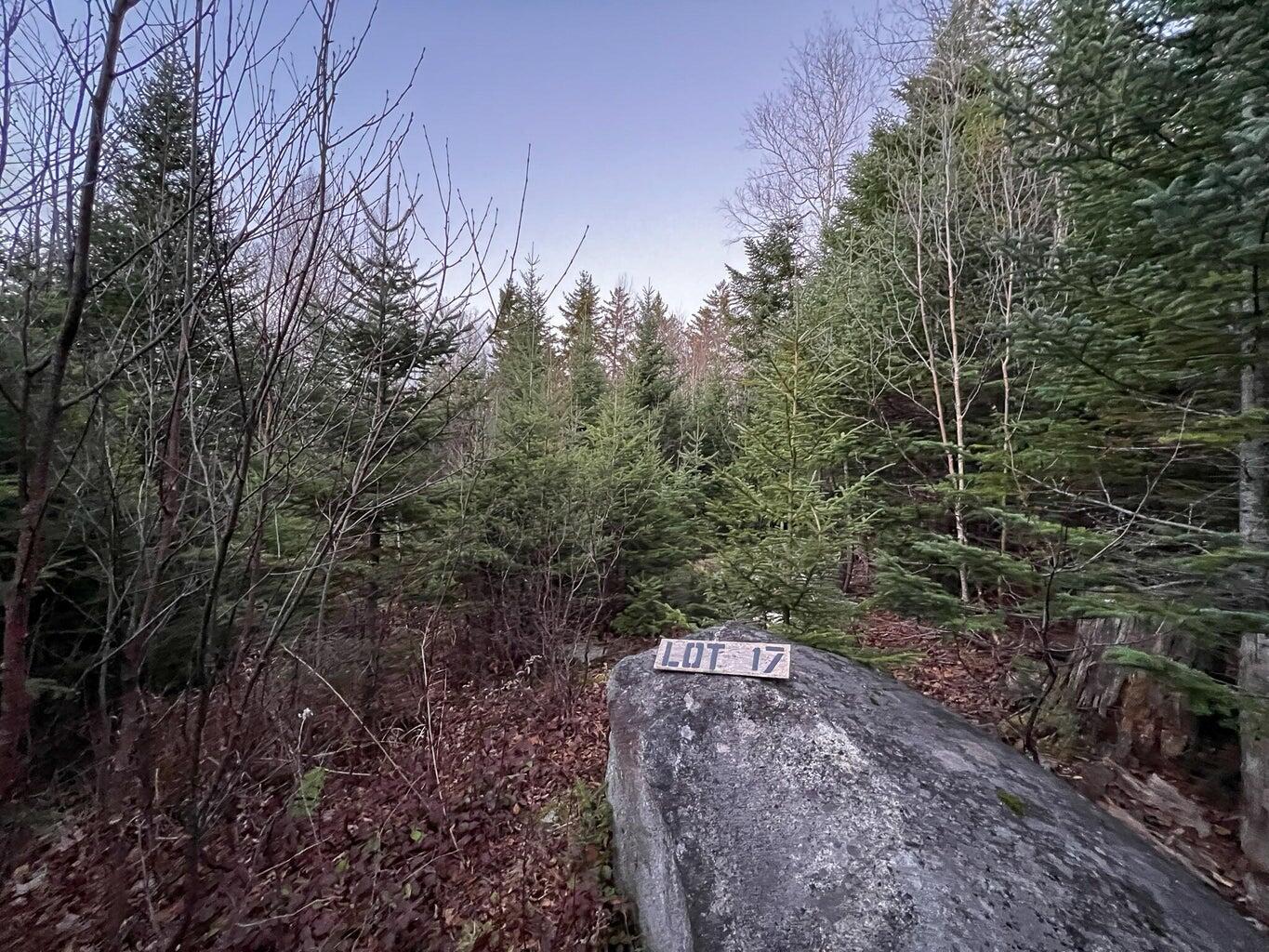 Lot 16 Mill Brook Road, Sandy River Plt, ME, 04970