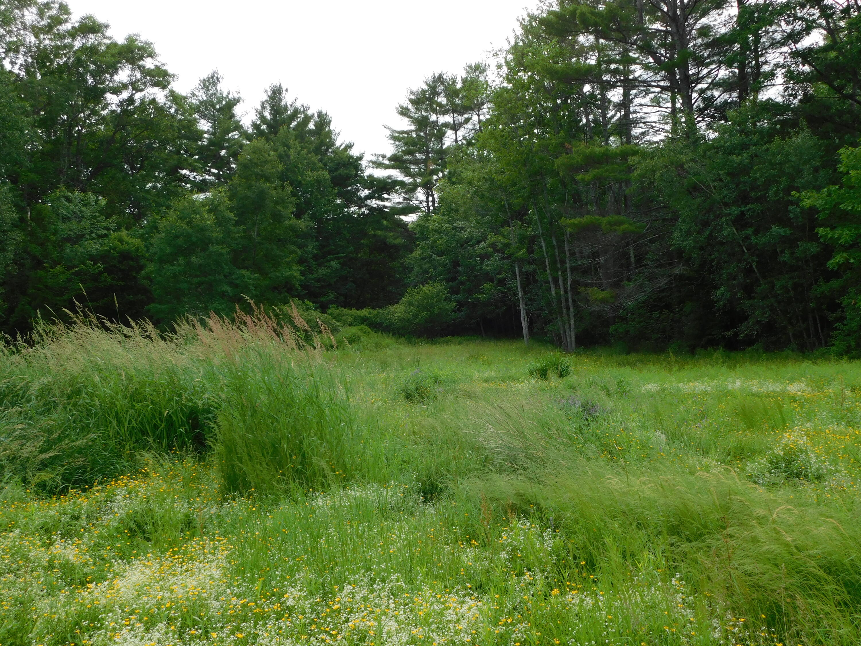 389 S Horseback Road, Burnham, ME 04922 DSCN4024