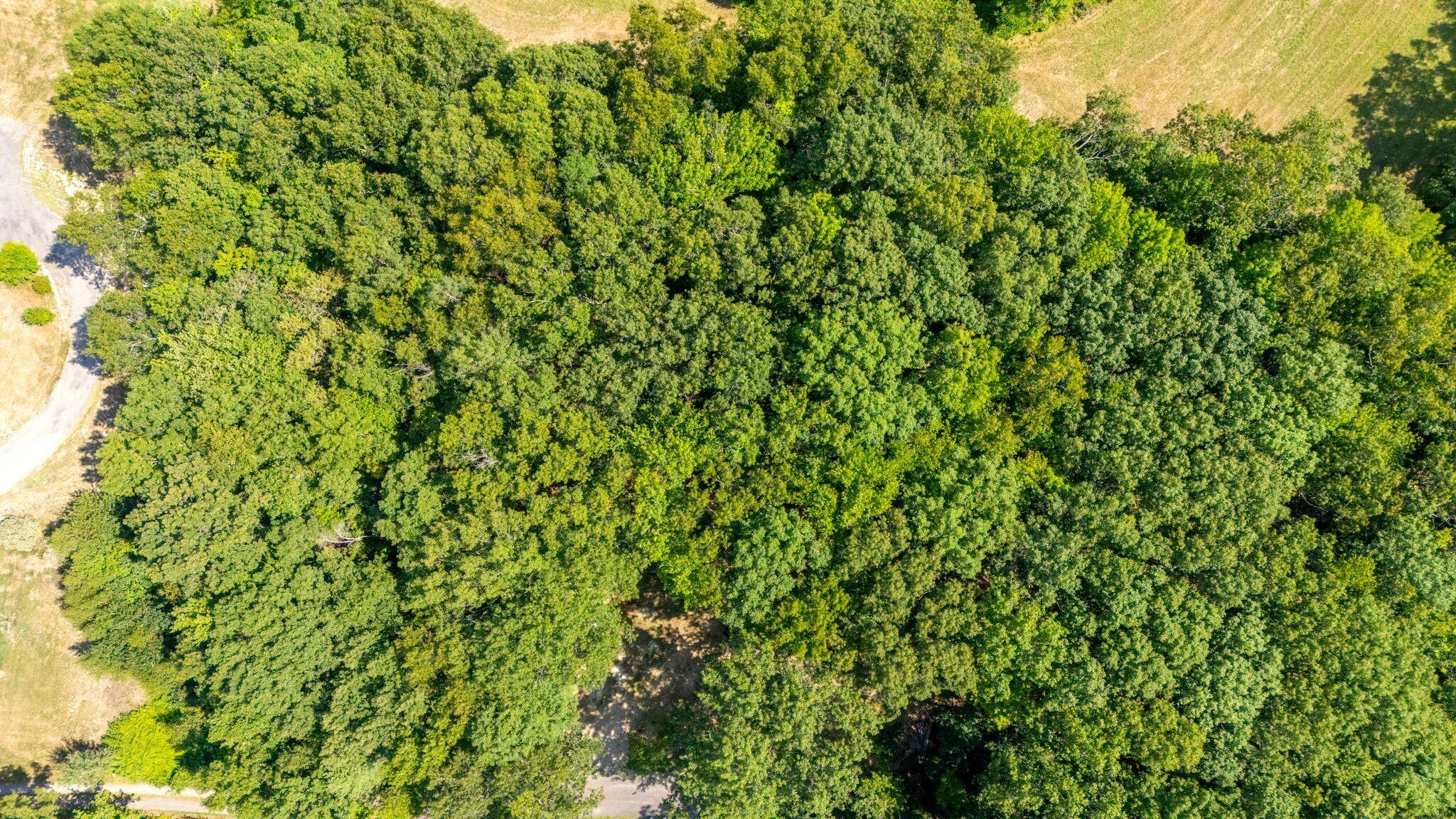 8_DJI_20260812143103_0041_D