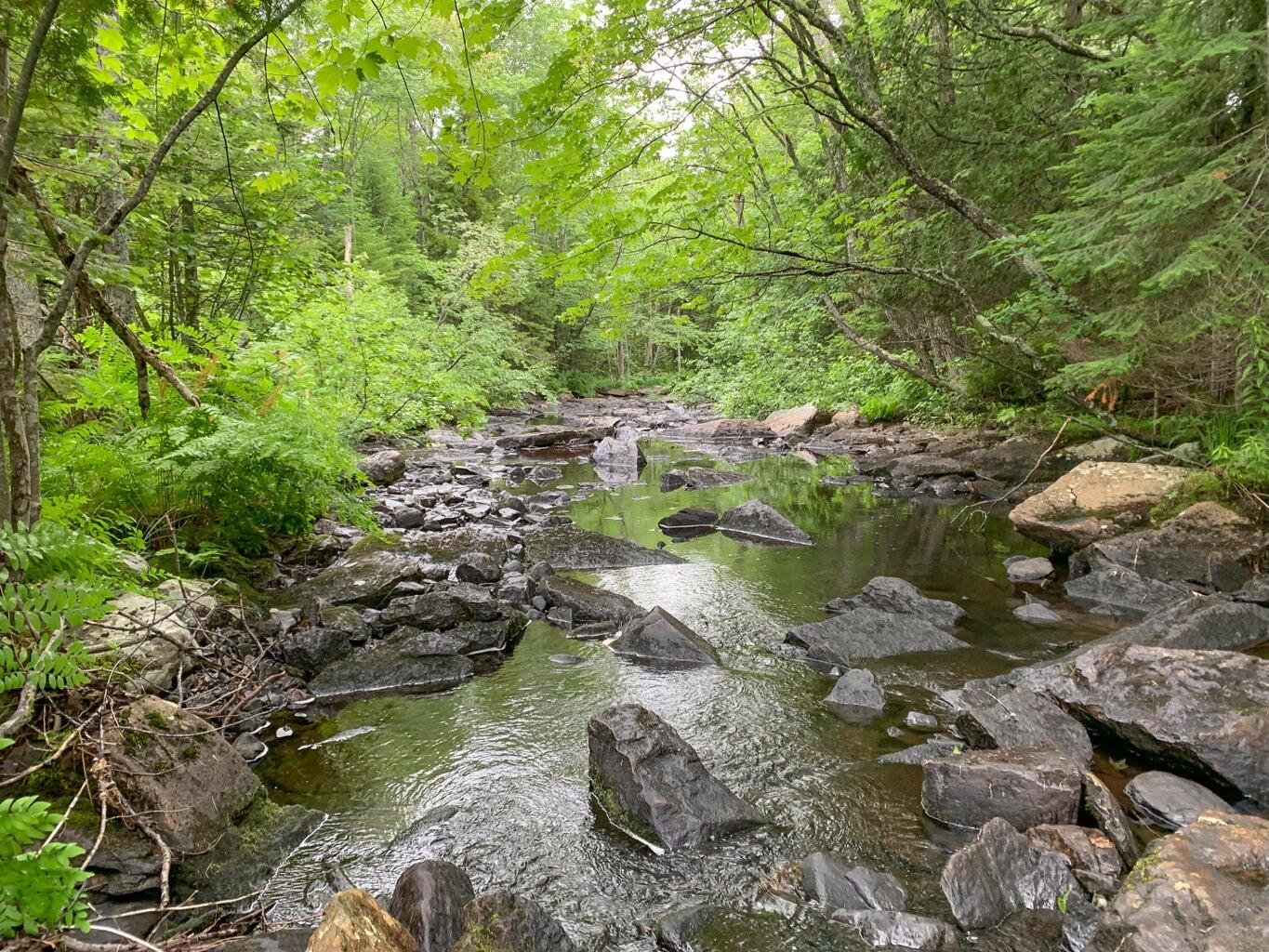Lot 16 Mill Brook Road, Sandy River Plt, ME, 04970