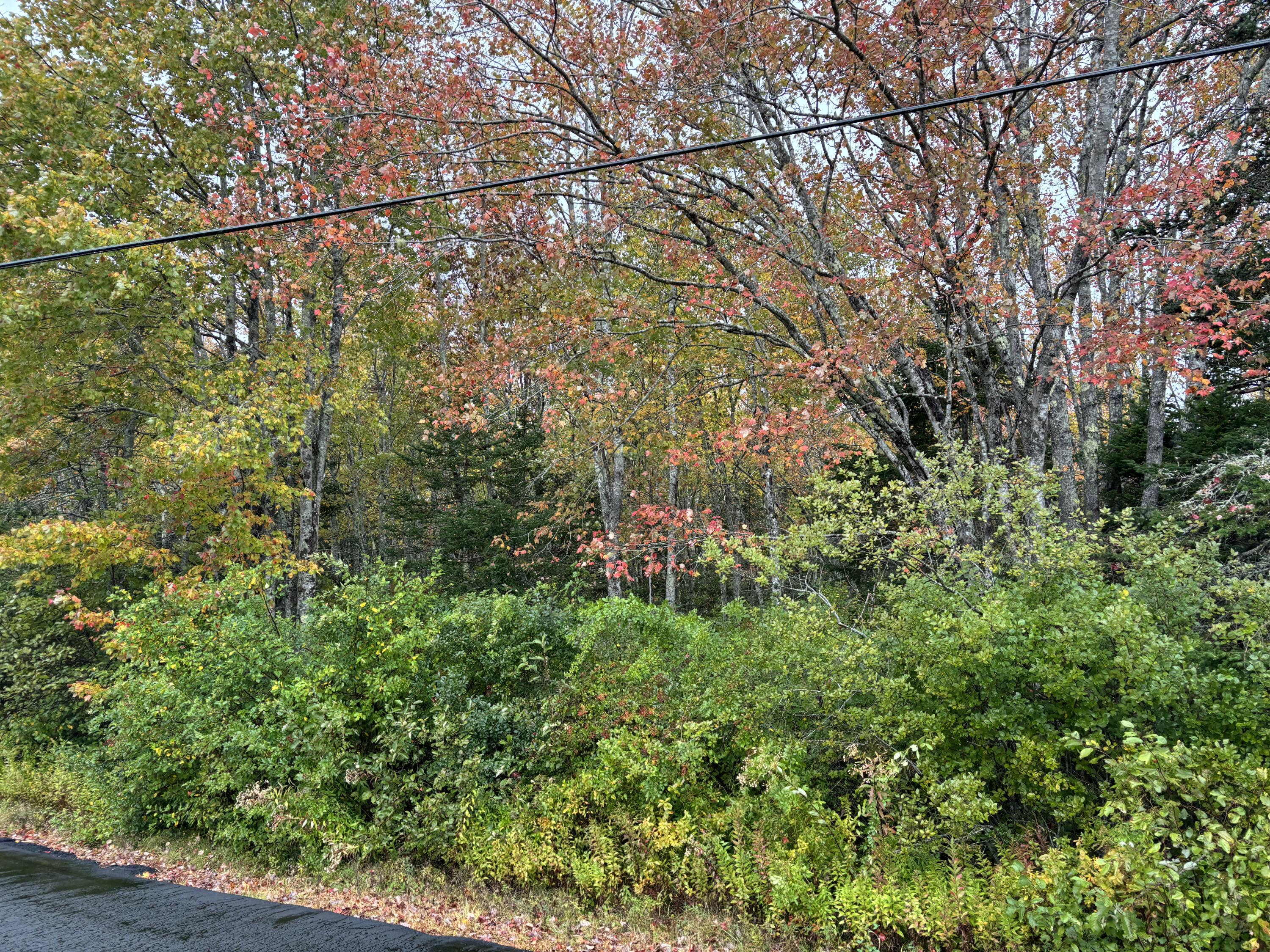 253 Hathorne Point Road, Cushing, ME, 04563