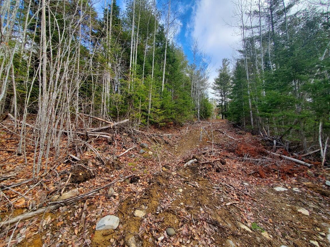 0 Pioneer Path UNIT Lot 5, Aurora, ME, 04408