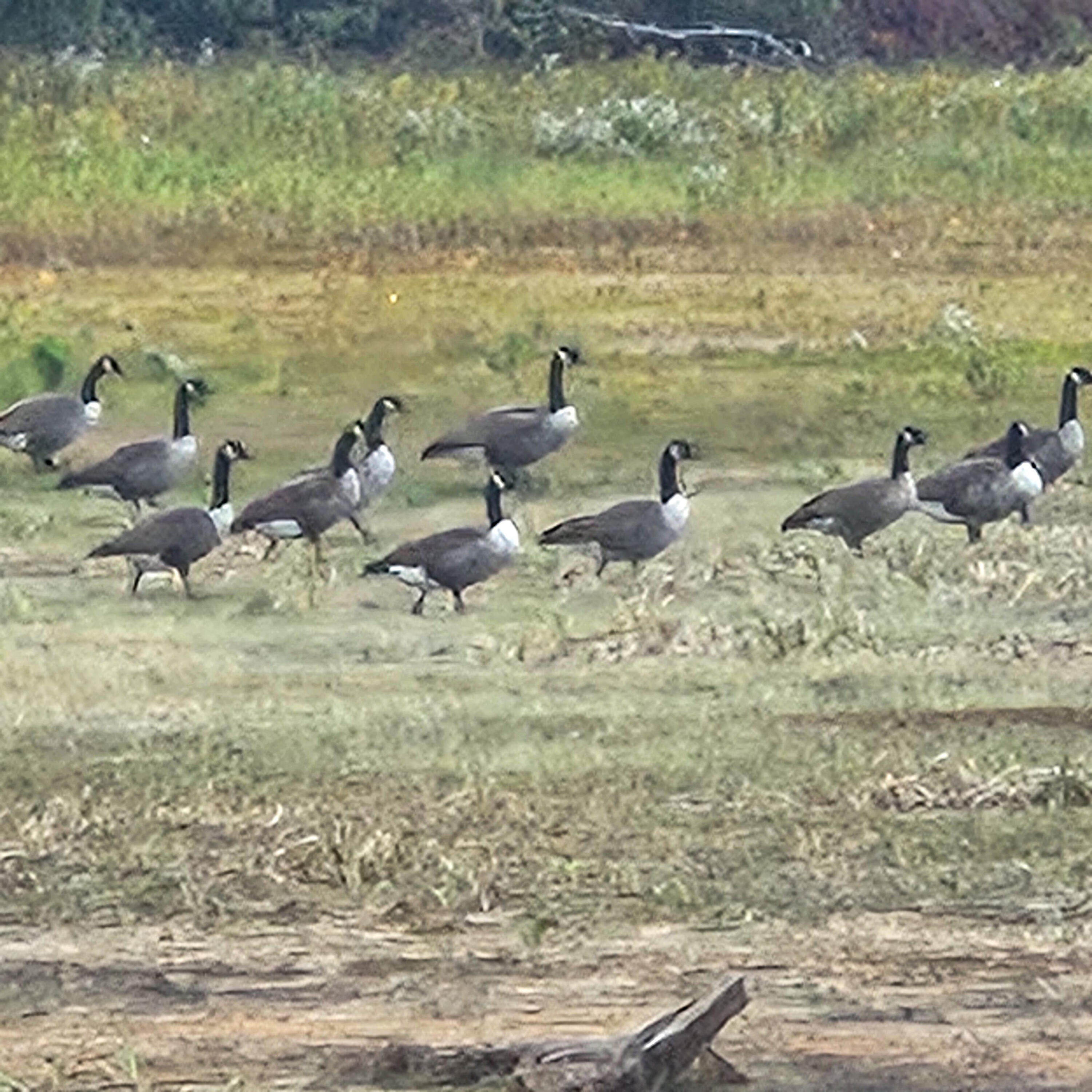 206 Morrison Farm Road, Mariaville, ME, 04605