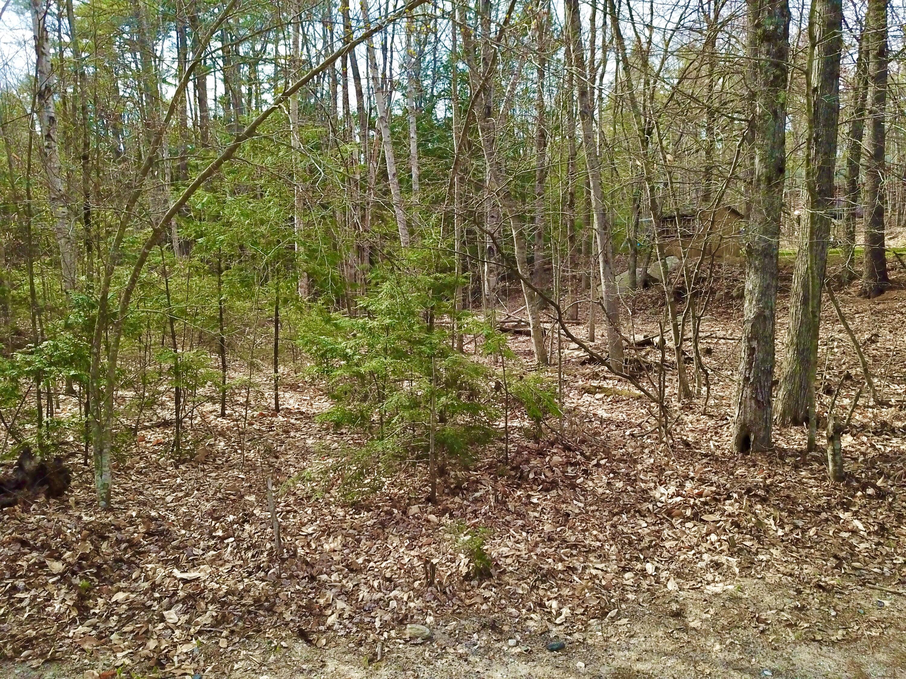 6 Chickadee Lane, Sebago, ME, 04029