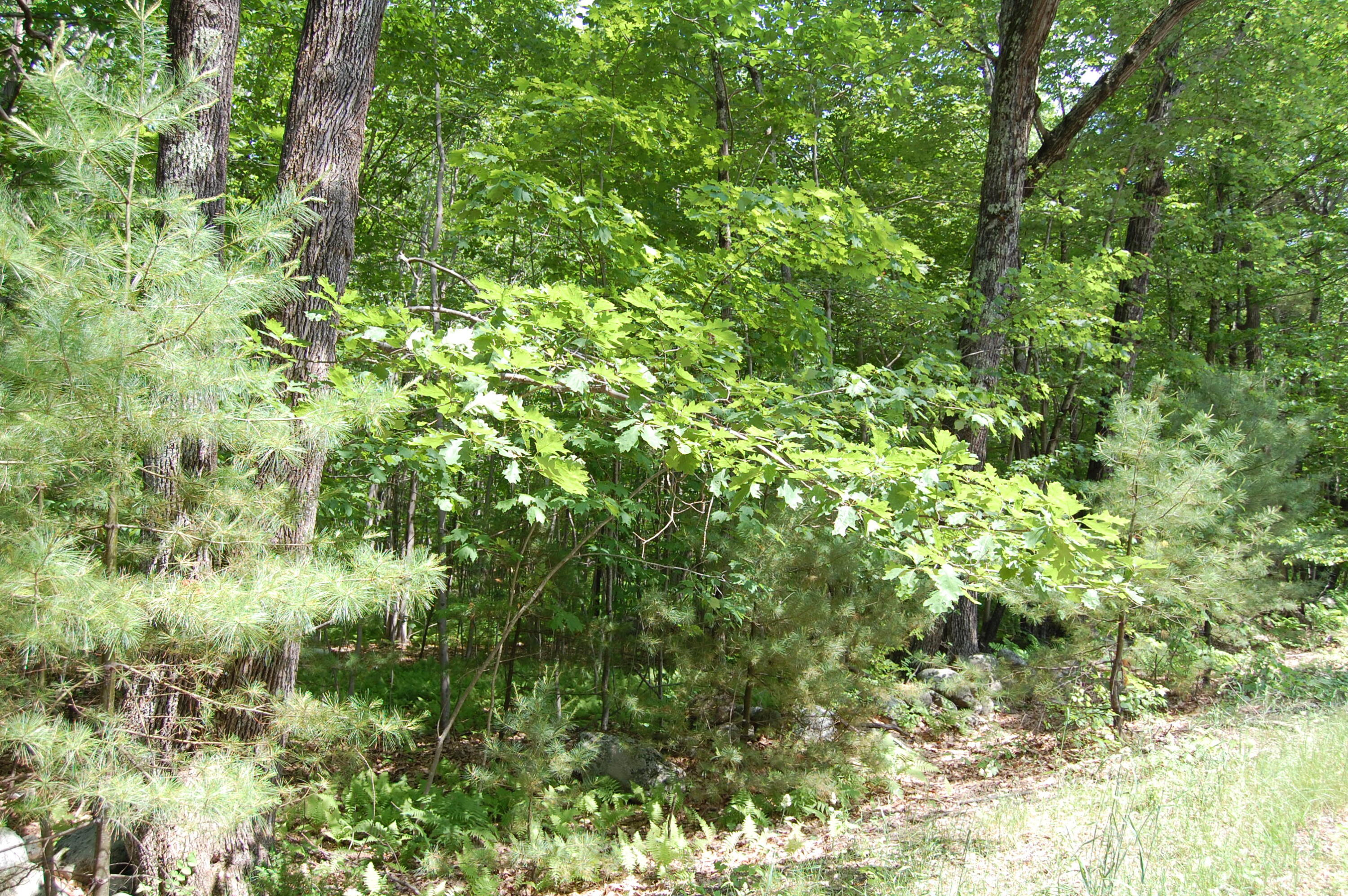 0 New Gloucester Road, North Yarmouth, ME, 04097