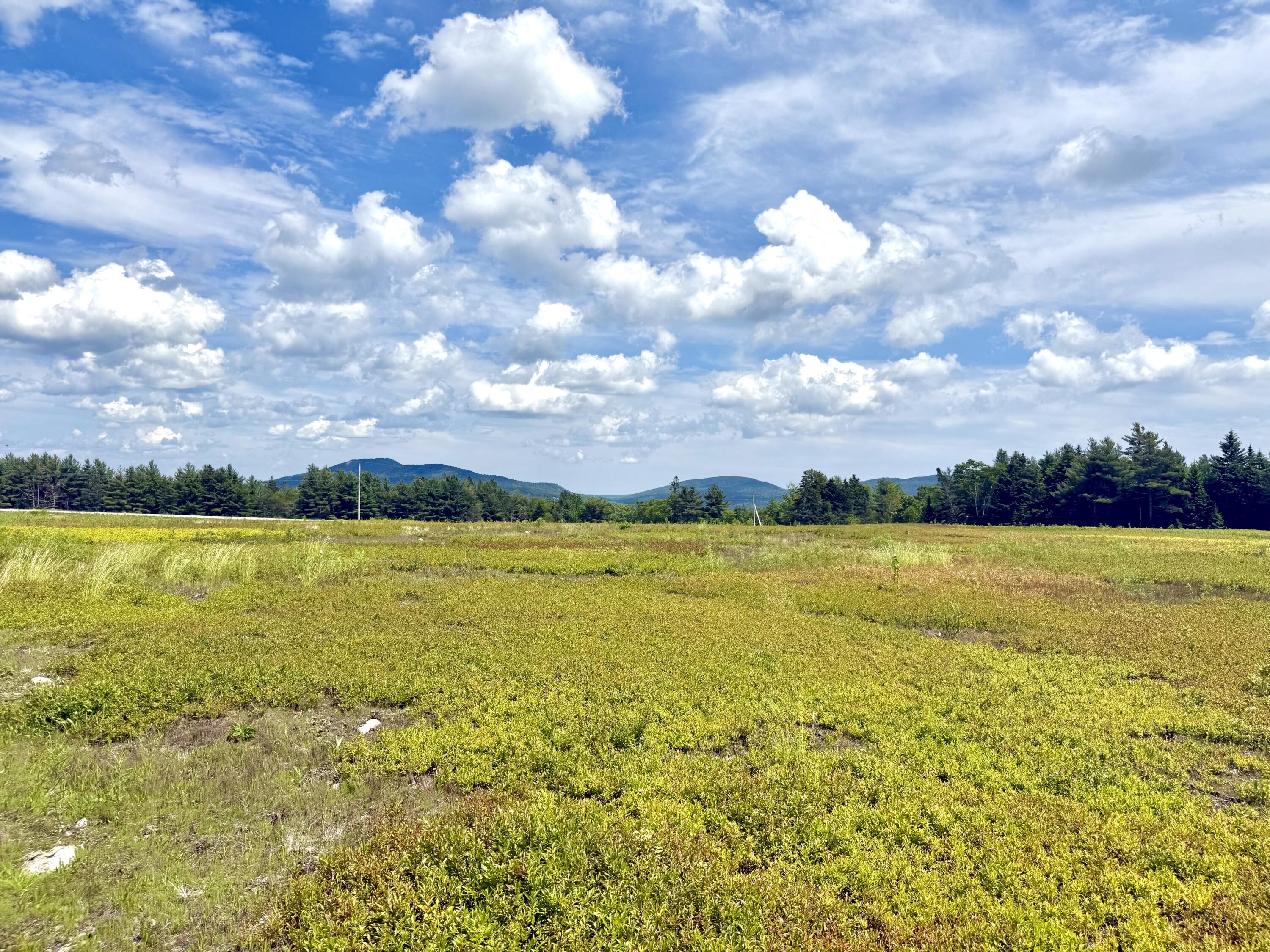 MAP13LOT11 Martins Ridge Road, Franklin, ME, 04634