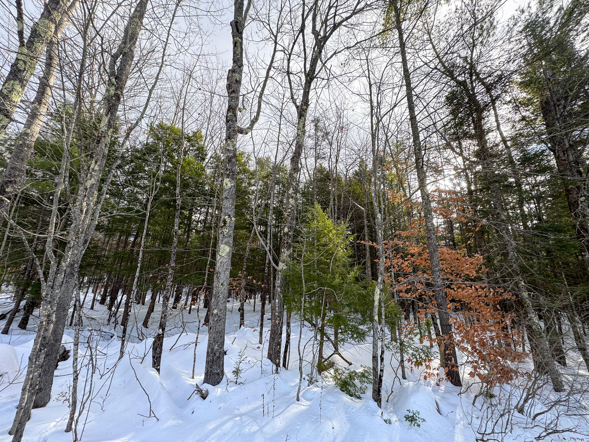 100 Sam Brown Hill Road, Brownfield, ME, 04010