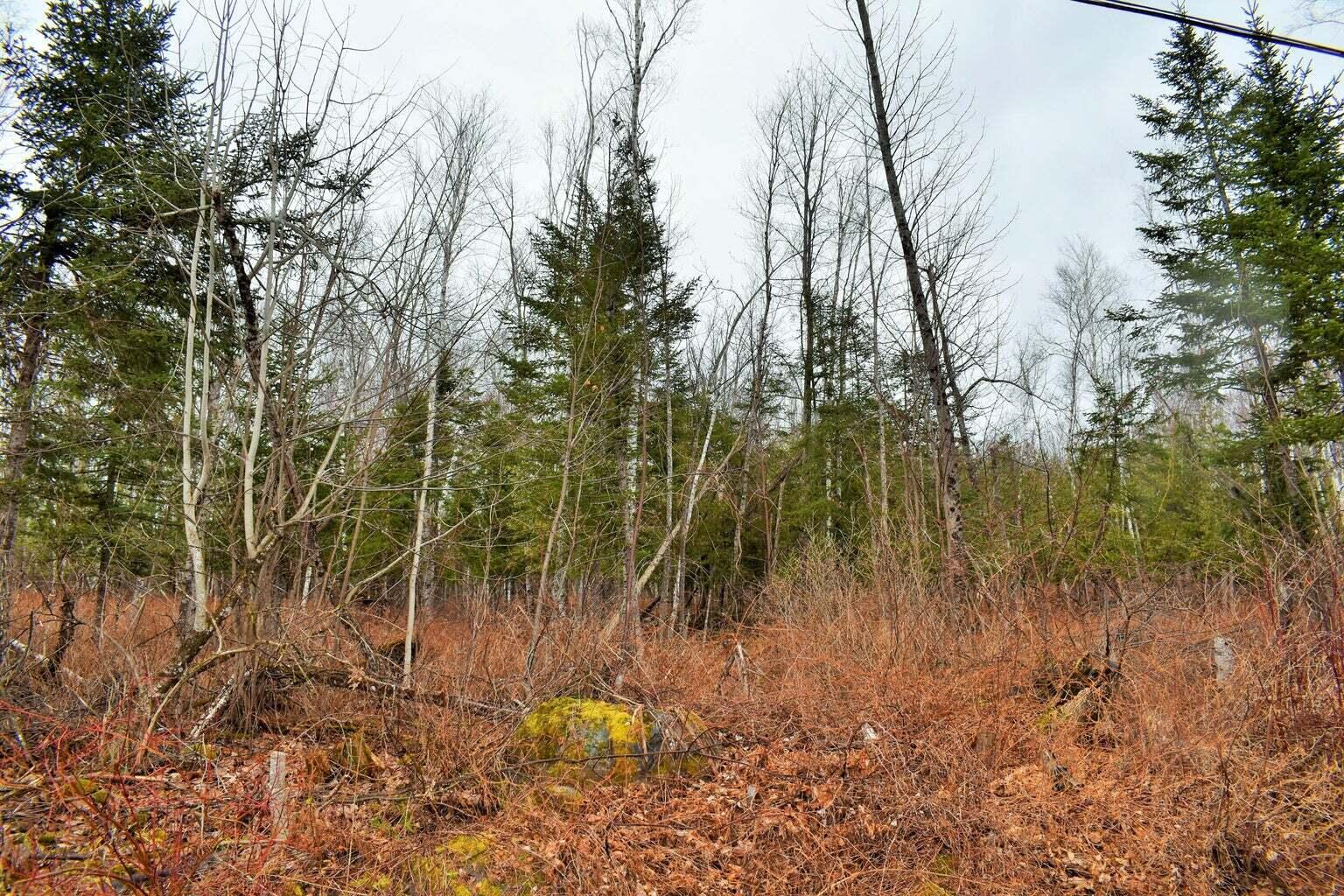 PO72,P090 Cotta Lane & RT 43, Saint Albans, ME, 04971