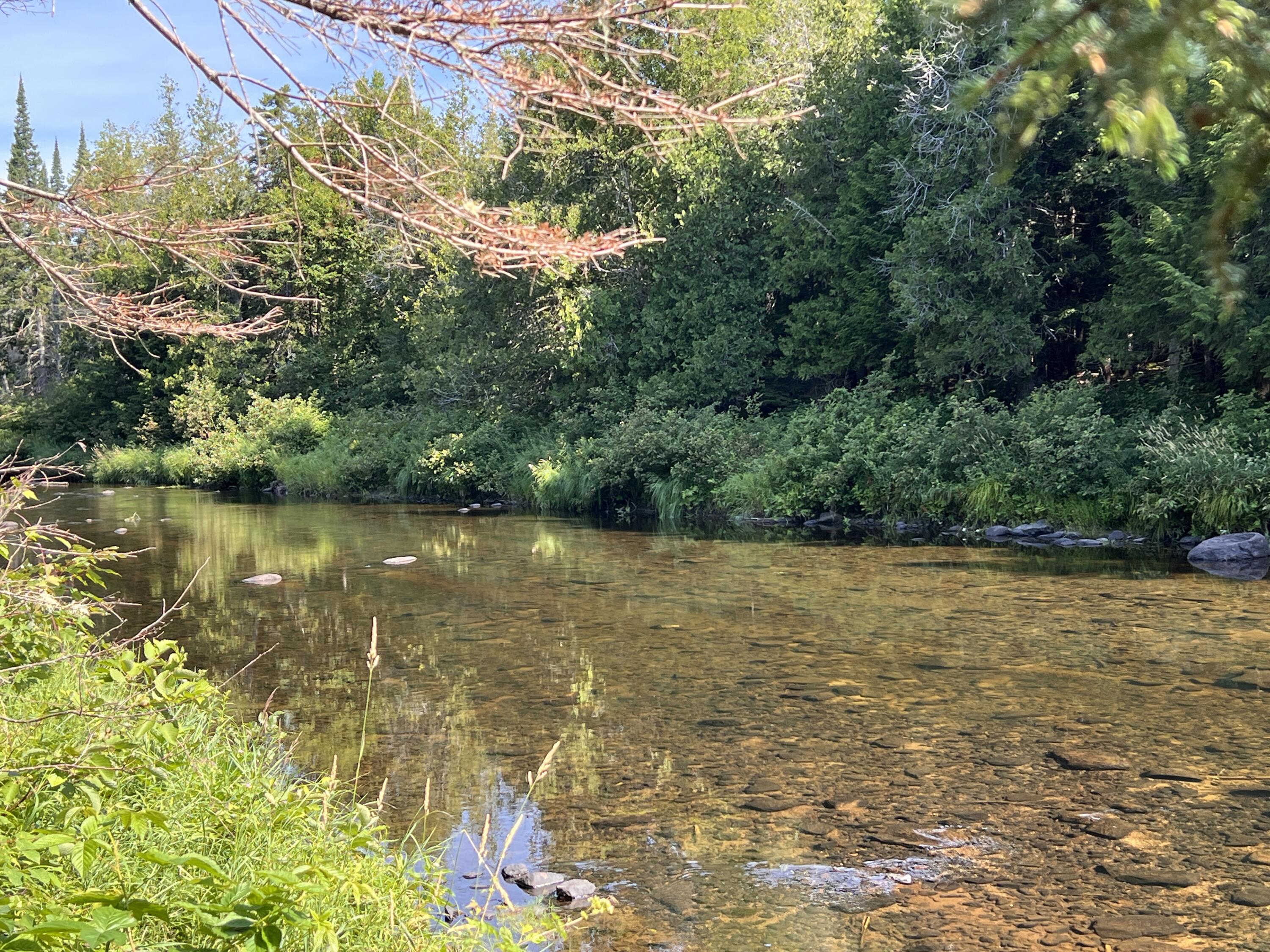 lot 6 & 8 Franklin Realty Road, Haynesville, ME 04497 Trout Stream frontage