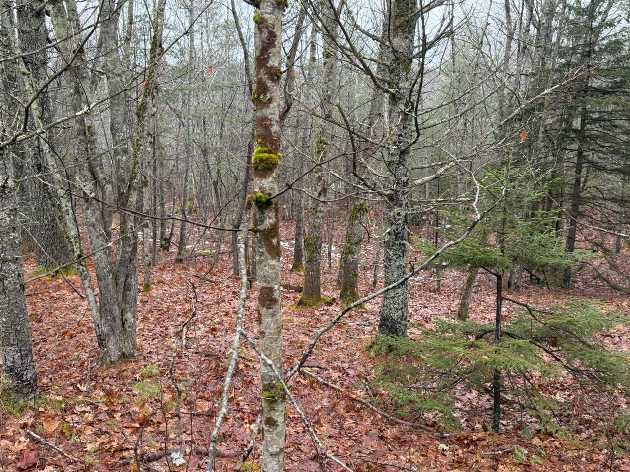 Lot 068003 Shore Road, Bremen, ME, 04551