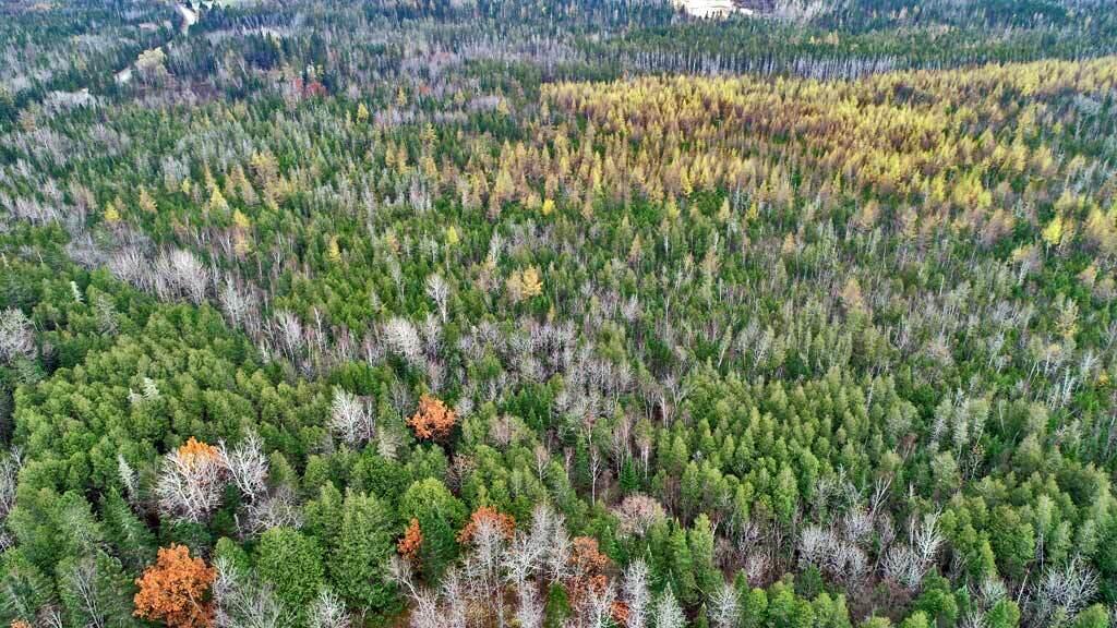 Lot 18 US RT 2 Highway, Sherman, ME, 04776