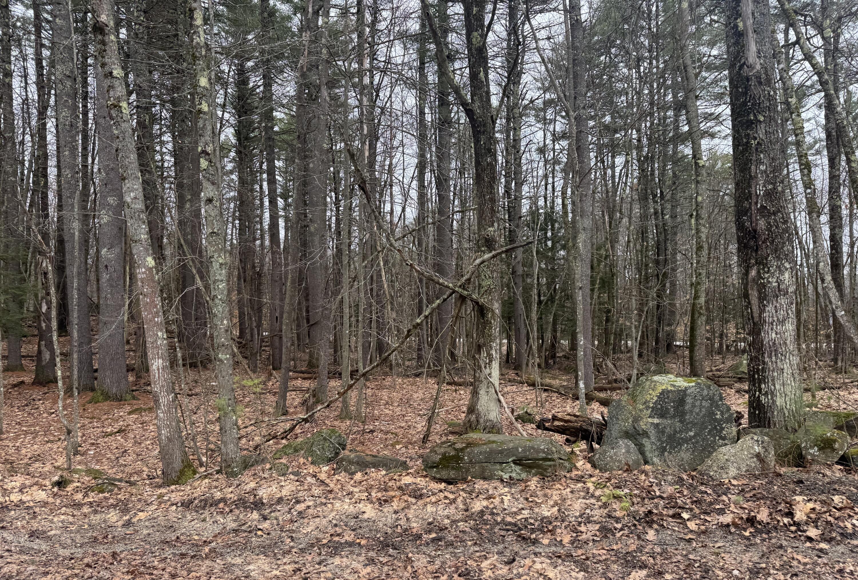 0 Sedgley Road, Limerick, ME, 04048