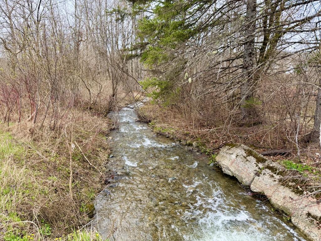 12 Elliott Road, Westfield, ME, 04787