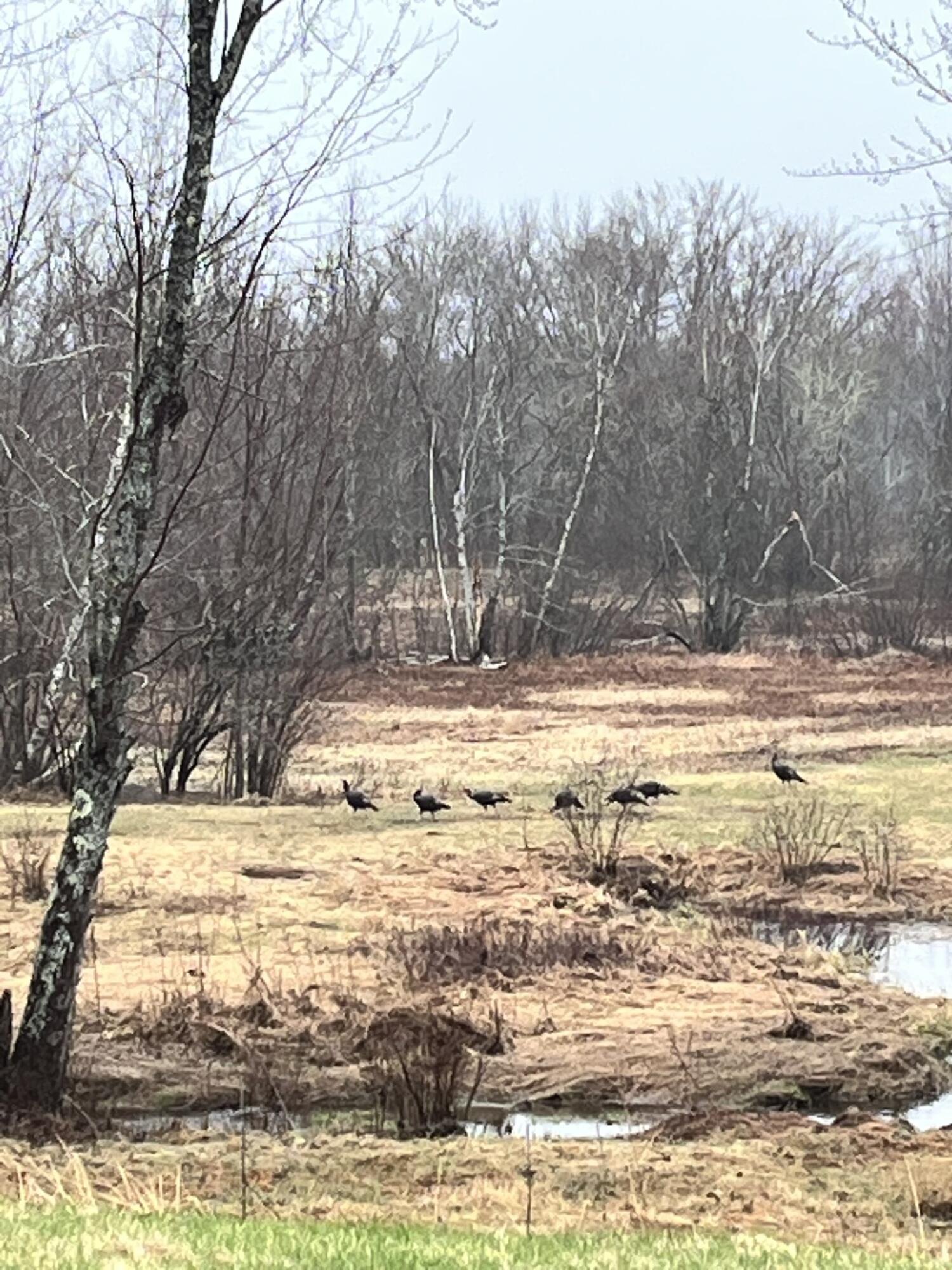 474 N Howland Road, Howland, ME, 04448