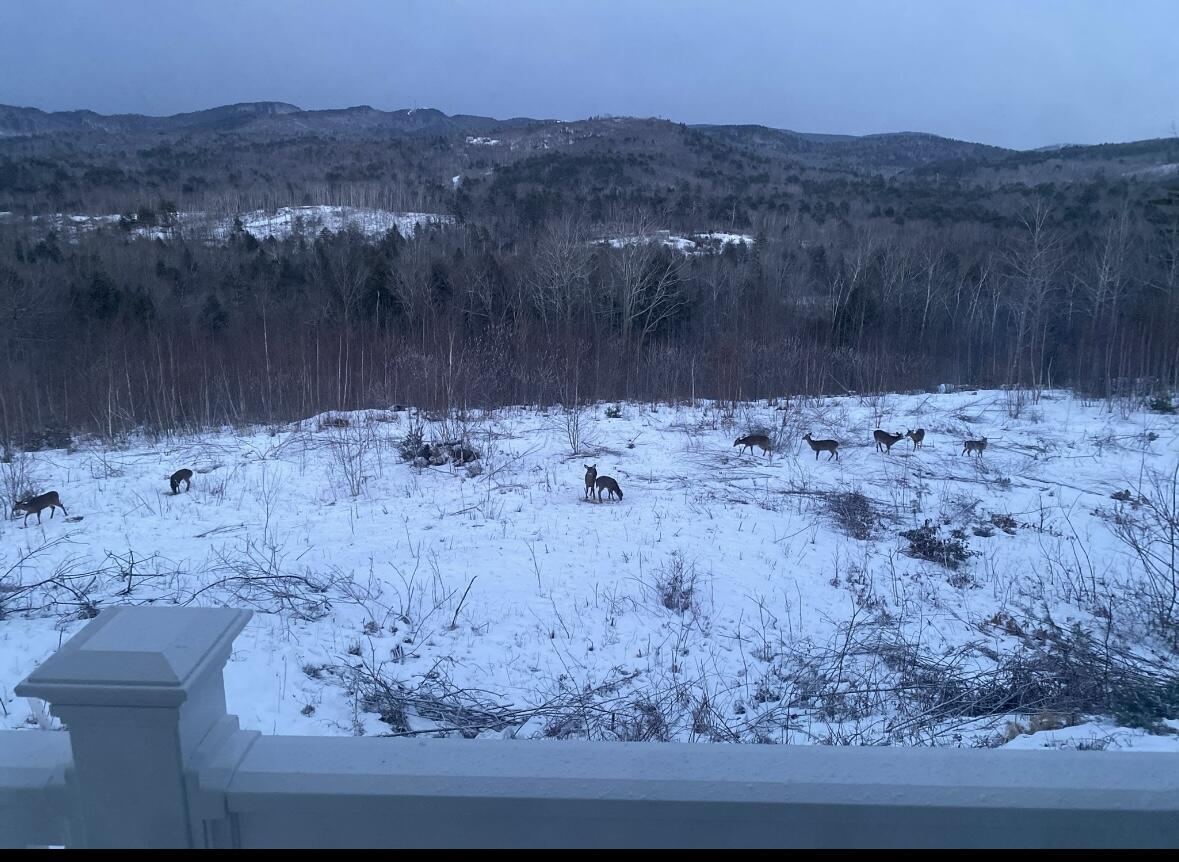 1882 North Road, Cornish, ME, 04020