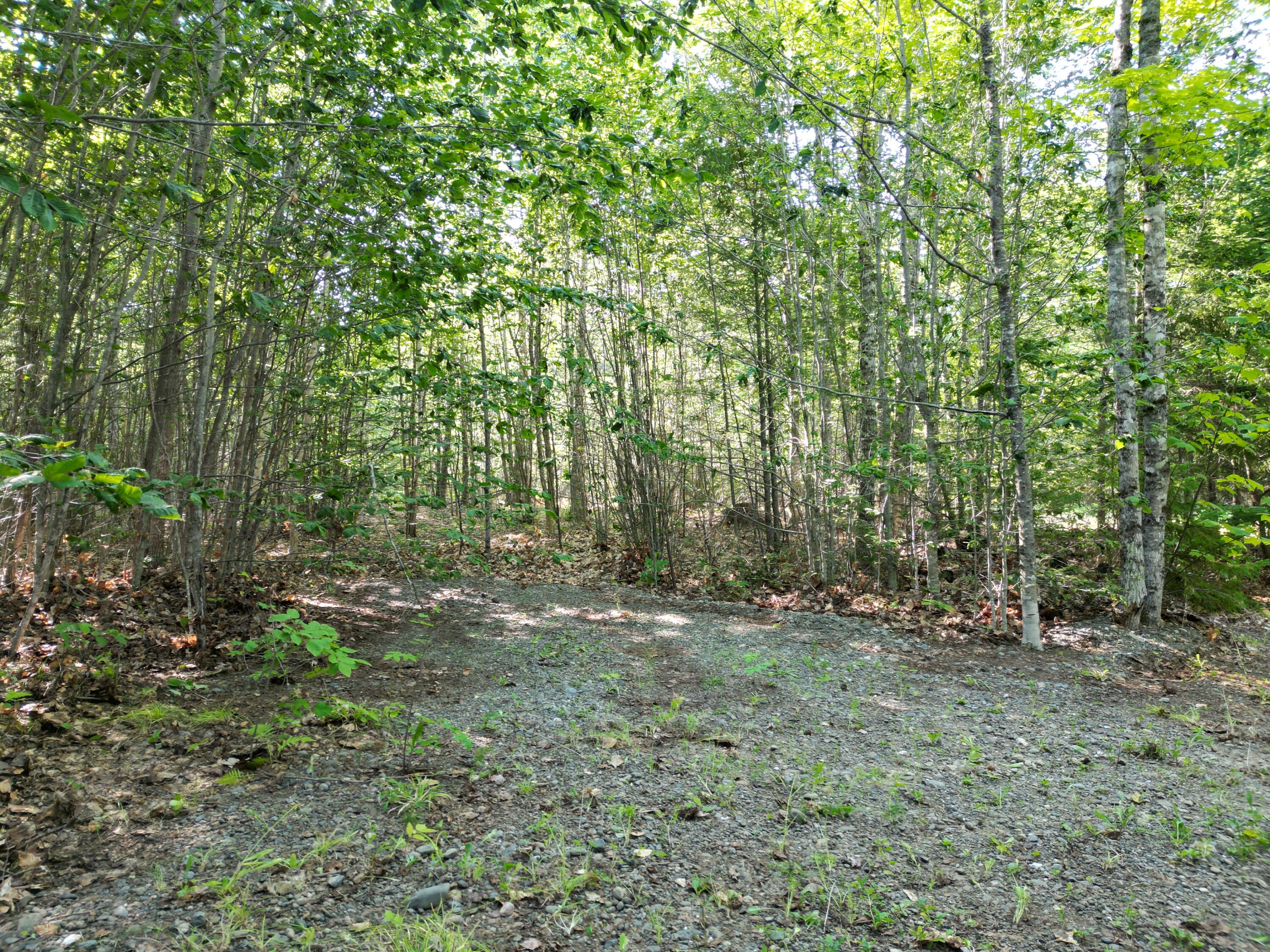 29 Spaulding Lane, Lee, ME 04455 DJI_0969